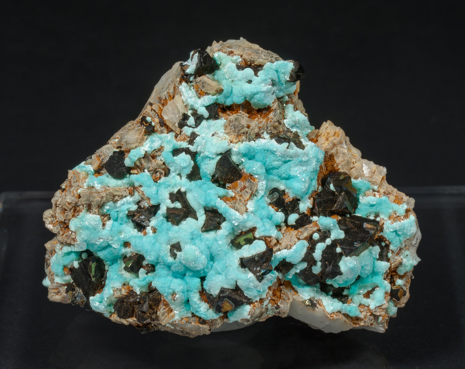 specimens/s_imagesAP2/Aurichalcite-EFM67AP2f.jpg