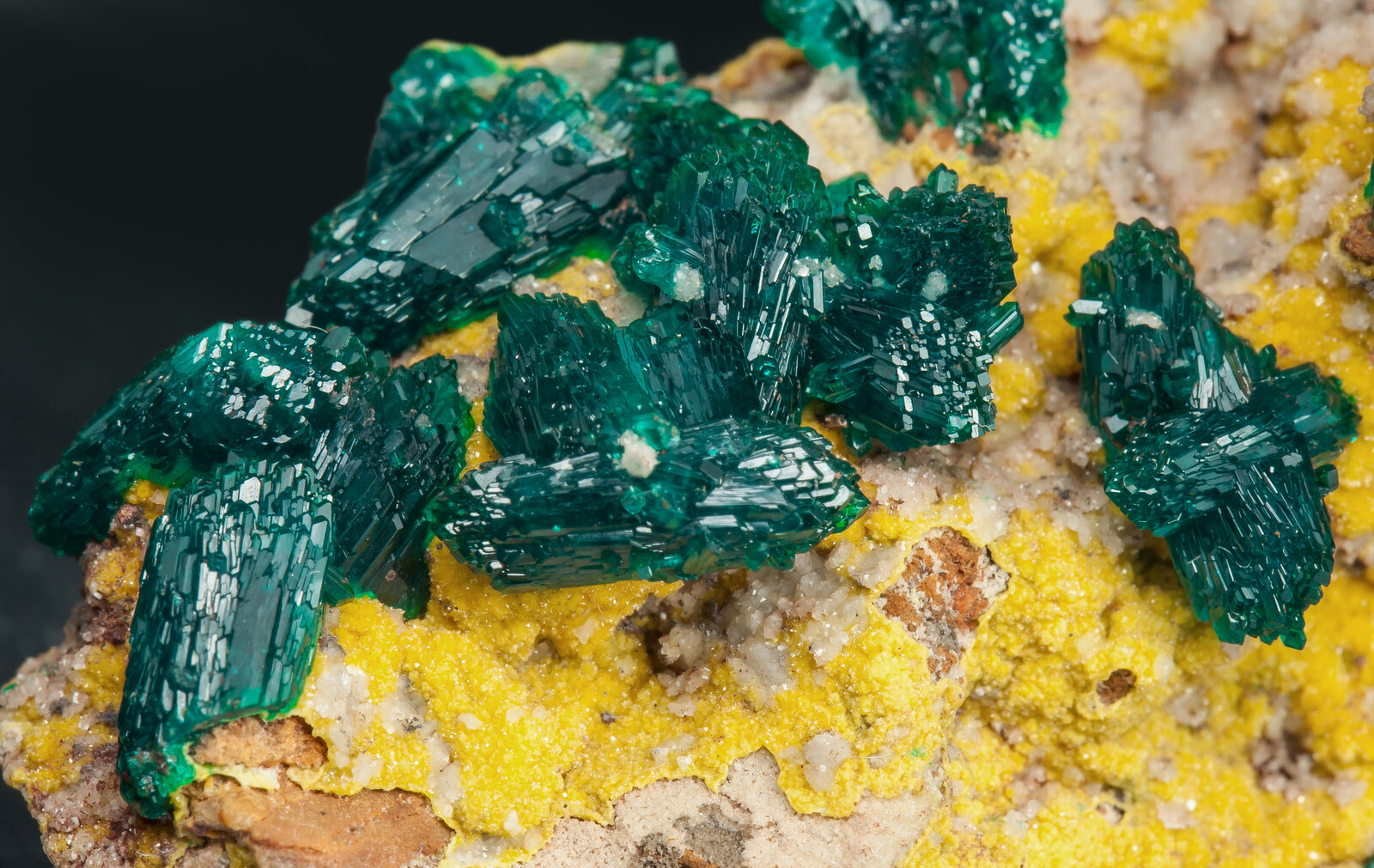 specimens/s_imagesAP2/Dioptase-TBM99AP2d.jpg