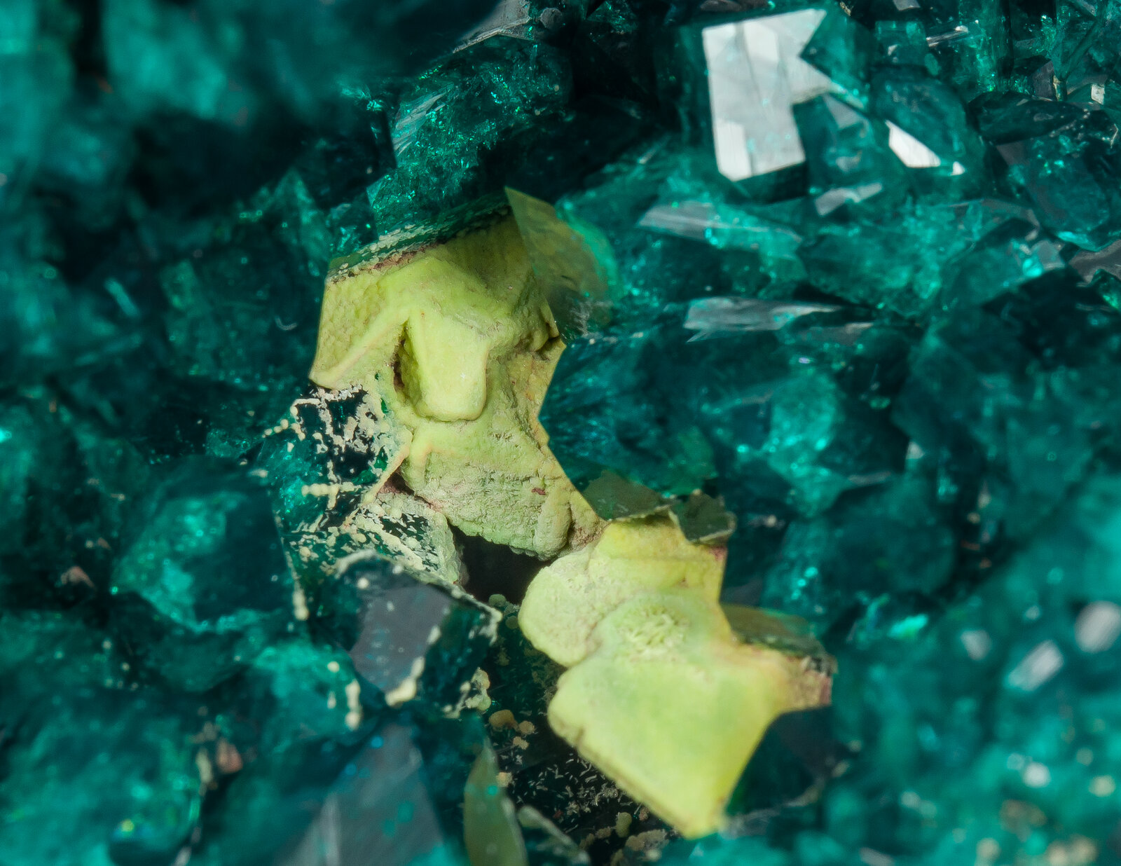 specimens/s_imagesAP2/Dioptase-TPA99AP2d.jpg