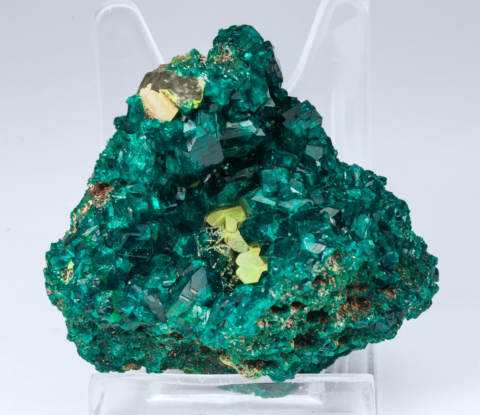 specimens/s_imagesAP2/Dioptase-TPA99AP2f.jpg