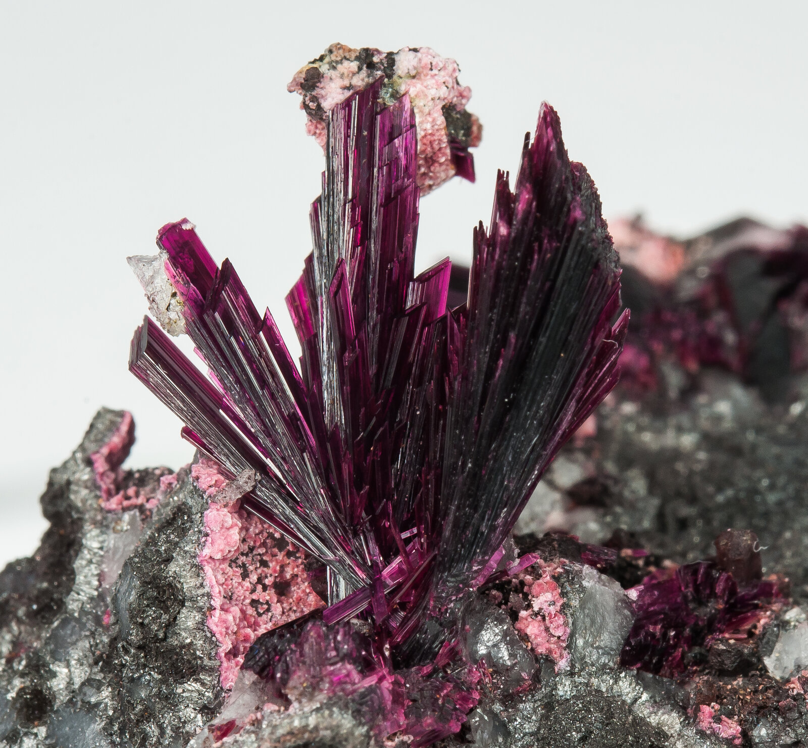 specimens/s_imagesAP2/Erythrite-MFH1AP2d.jpg