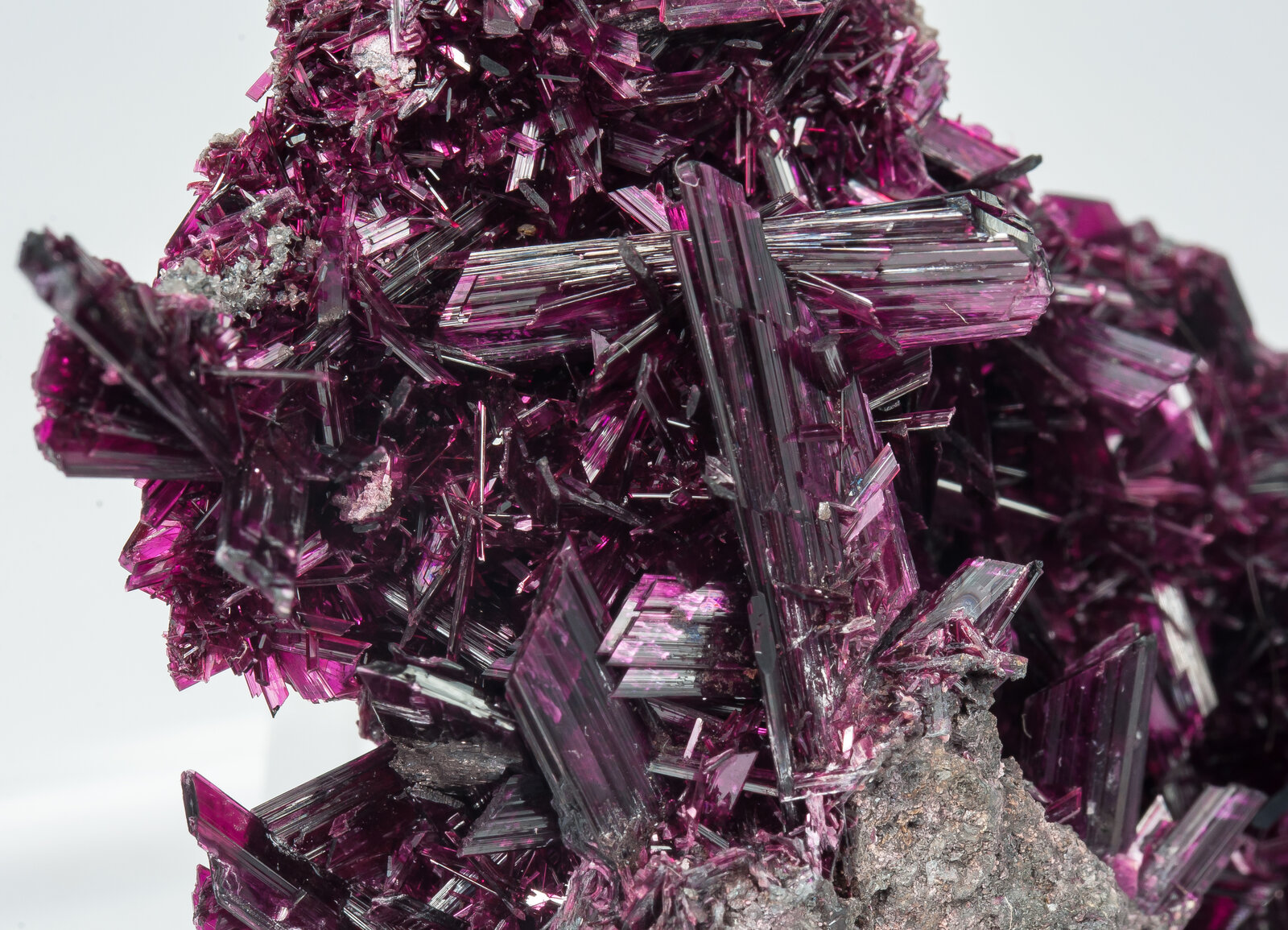 specimens/s_imagesAP2/Erythrite-MLP1AP2d1.jpg