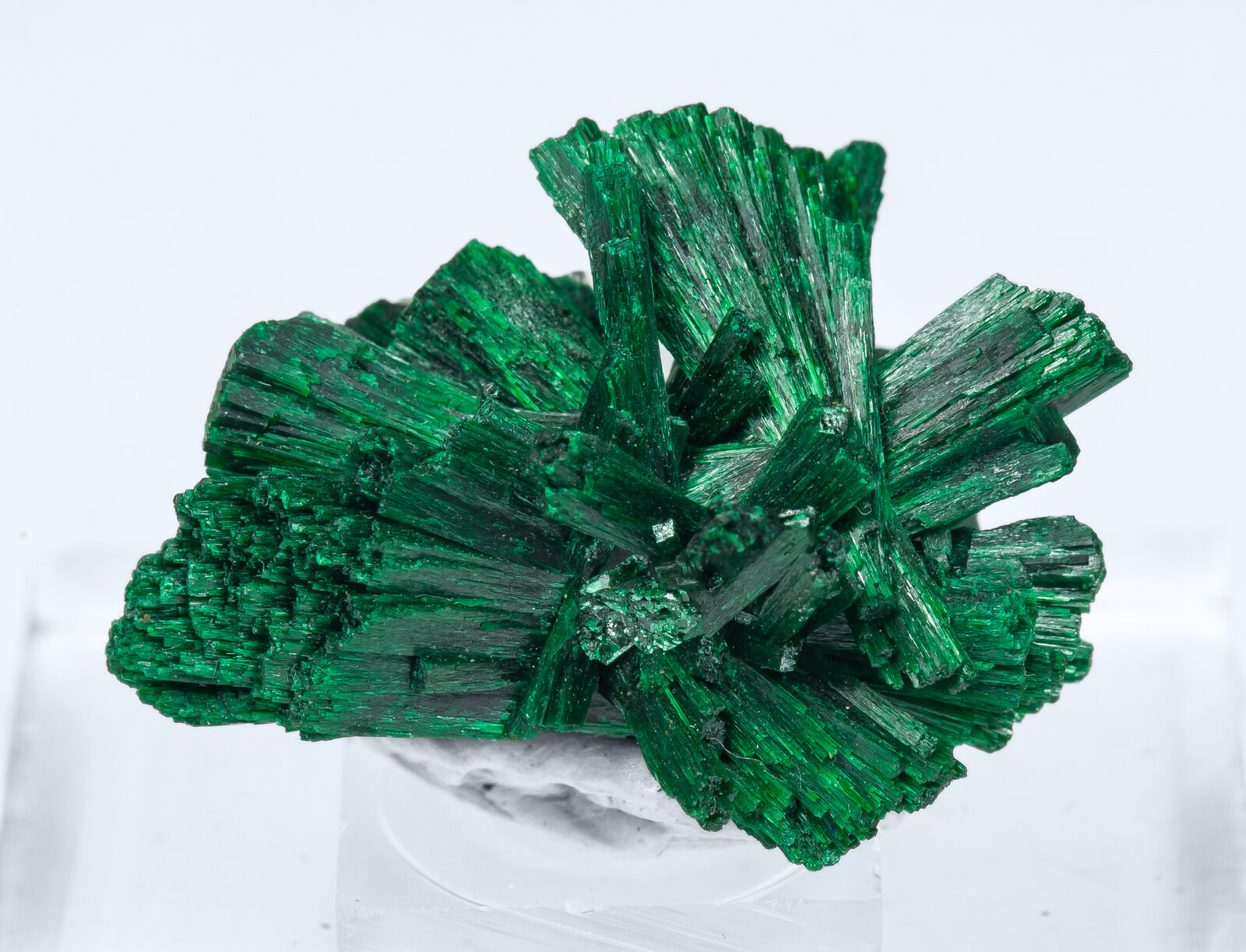 specimens/s_imagesAP2/Malachite-MTX14AP2f.jpg