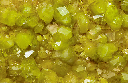 Pyromorphite. 