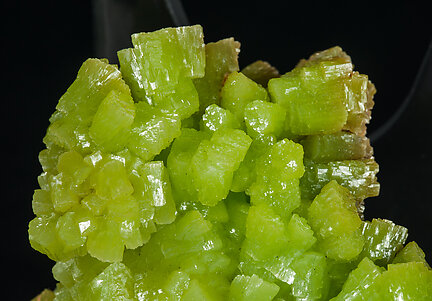 Pyromorphite. 