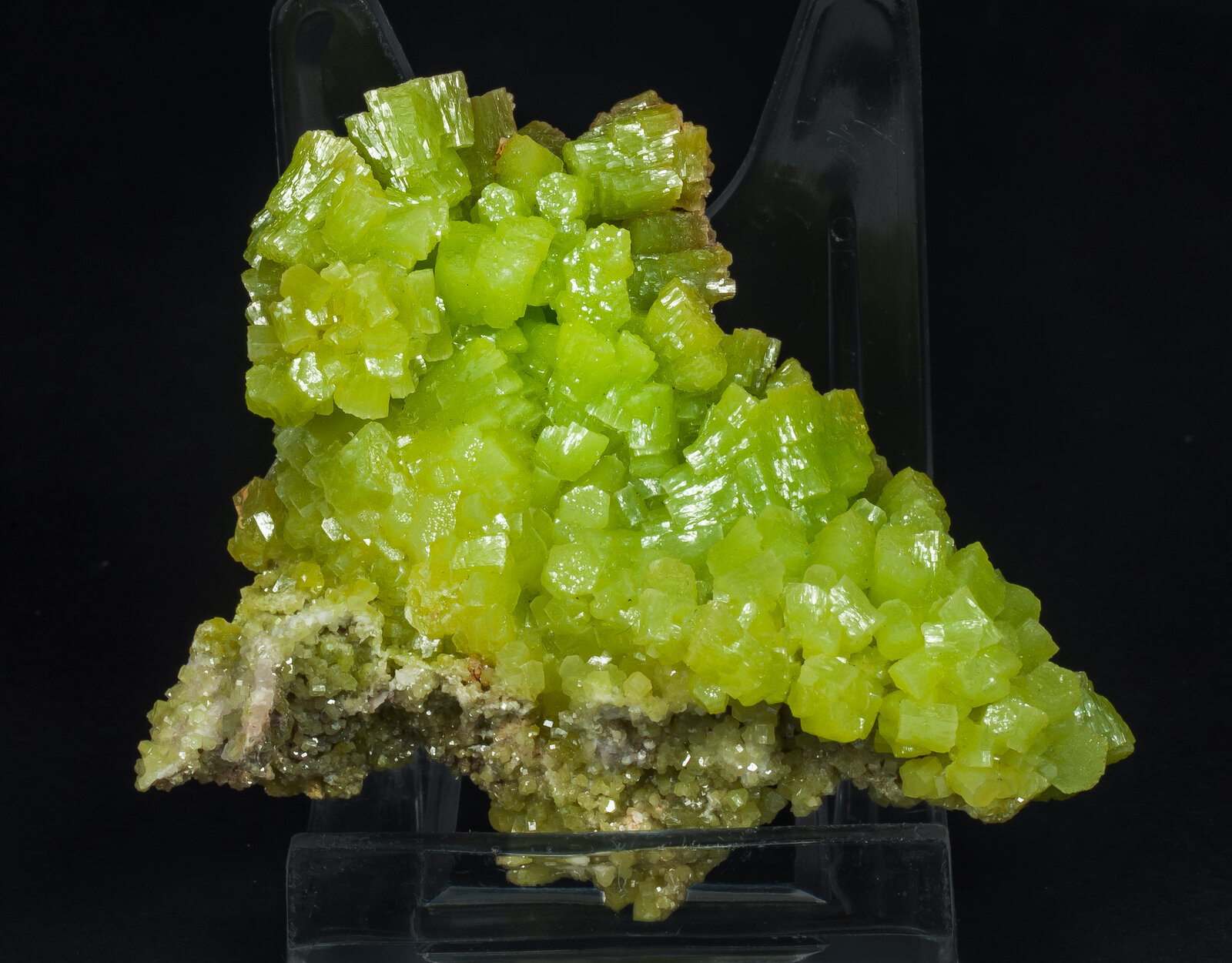 specimens/s_imagesAP2/Pyromorphite-ERB50AP2f.jpg