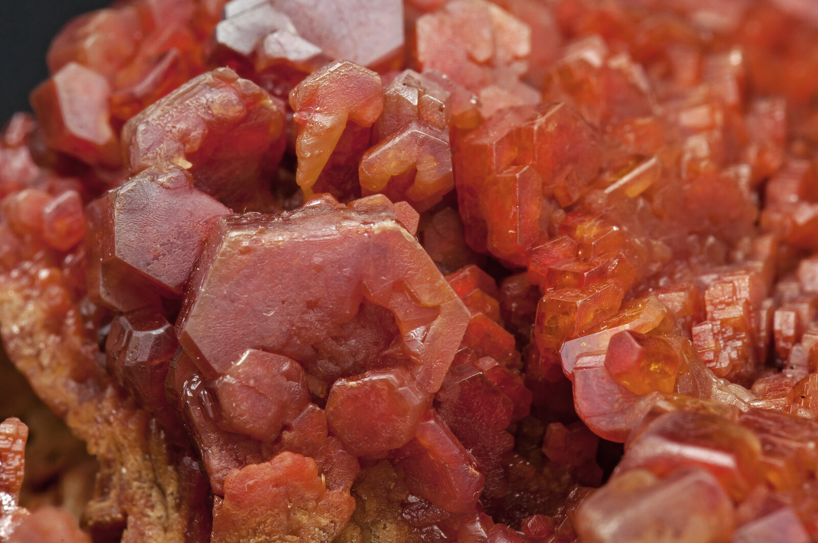 specimens/s_imagesAP2/Vanadinite-TFL50AP2d2.jpg