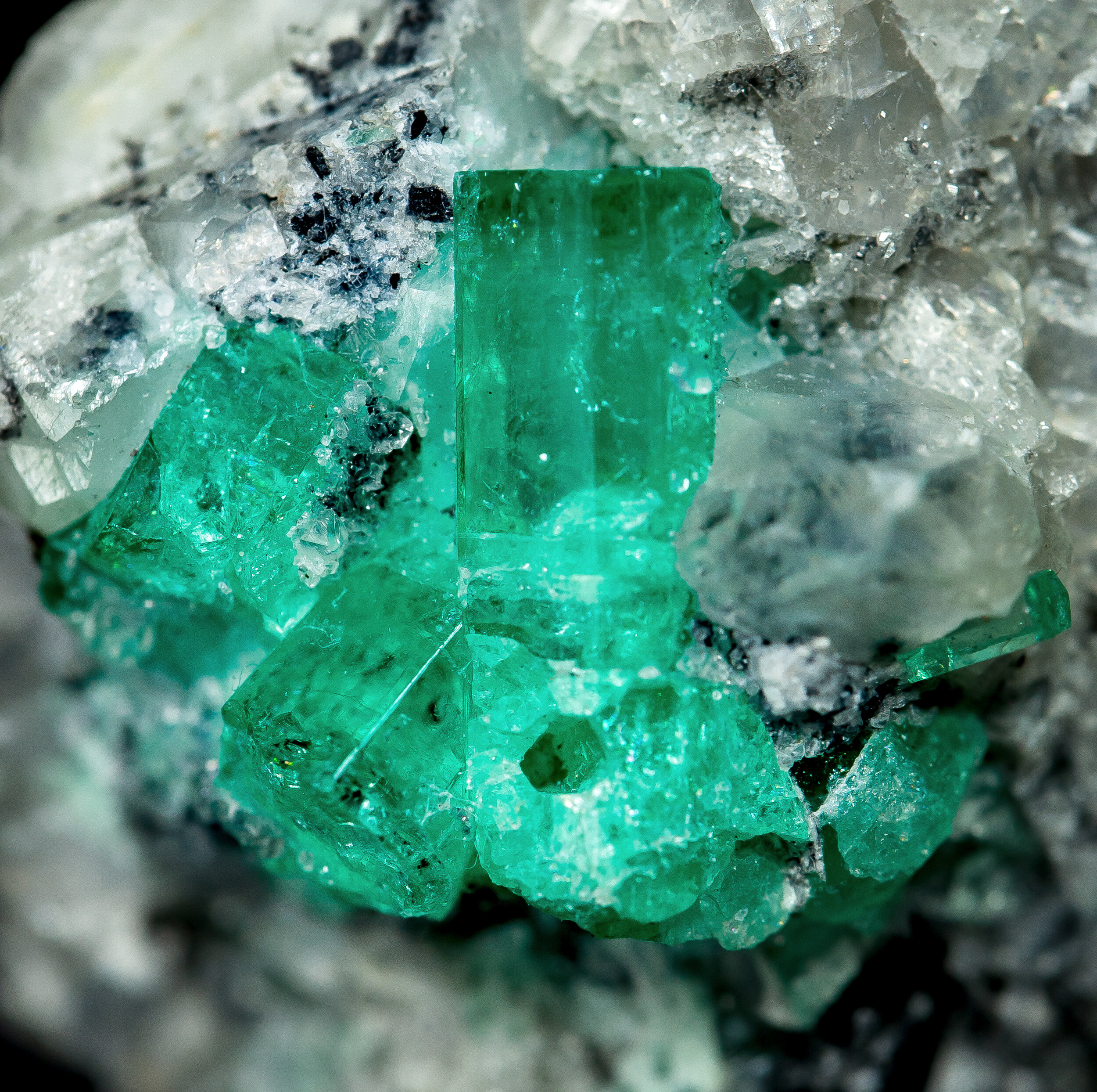 specimens/s_imagesAP3/Beryl_emerald-MLR73AP3d.jpg