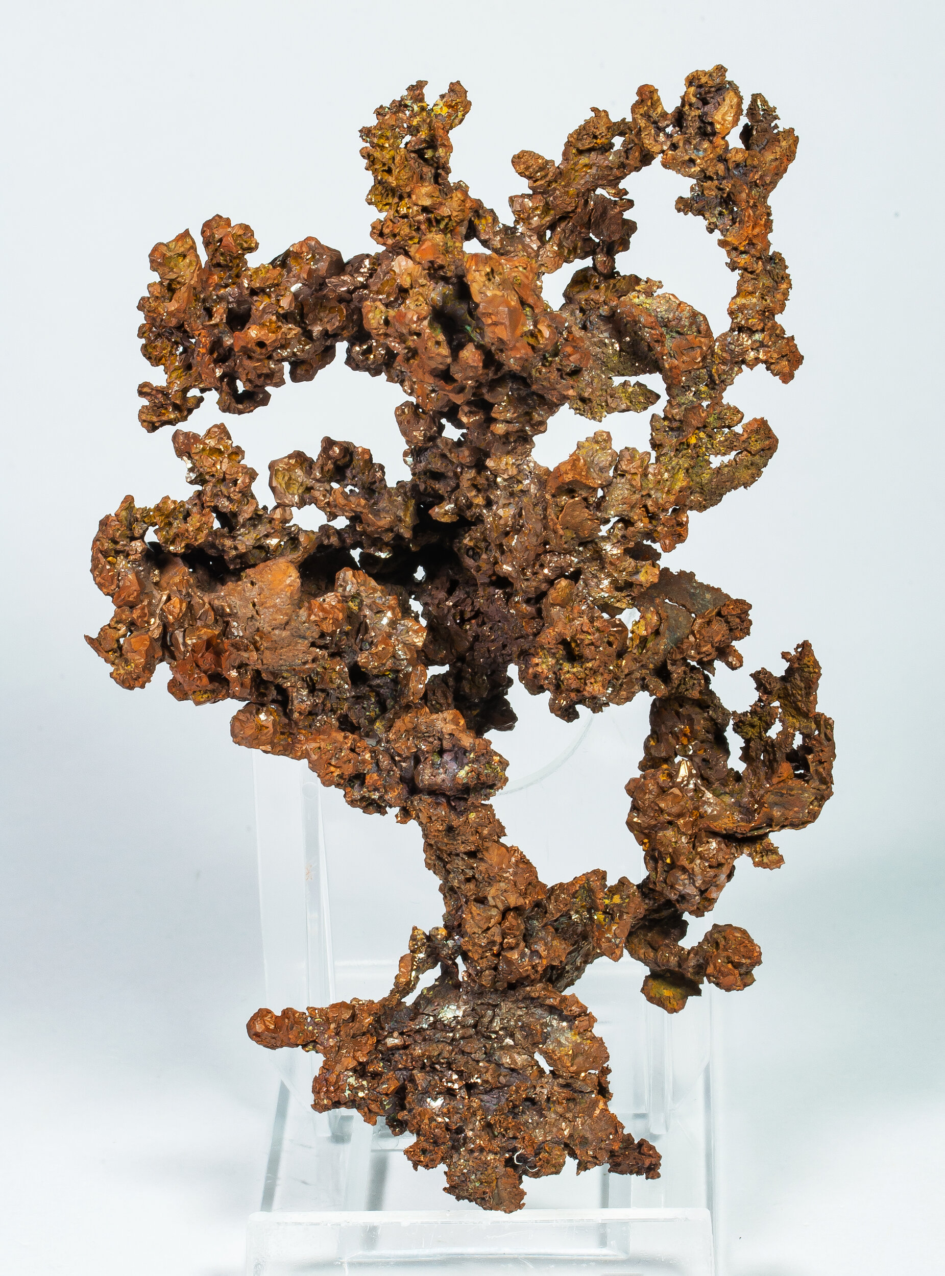 specimens/s_imagesAP3/Copper-EFB69AP3f.jpg