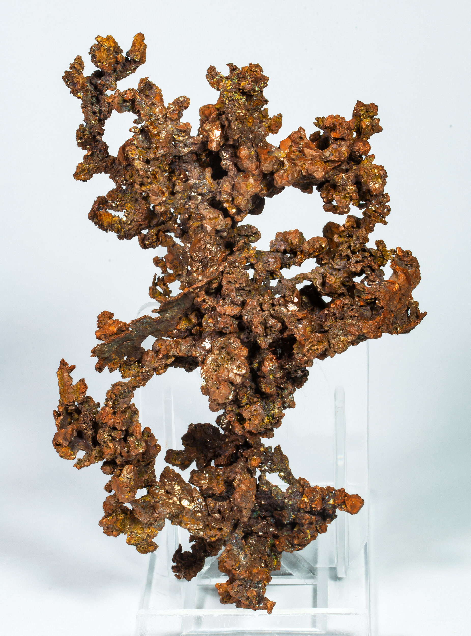 specimens/s_imagesAP3/Copper-EFB69AP3r.jpg