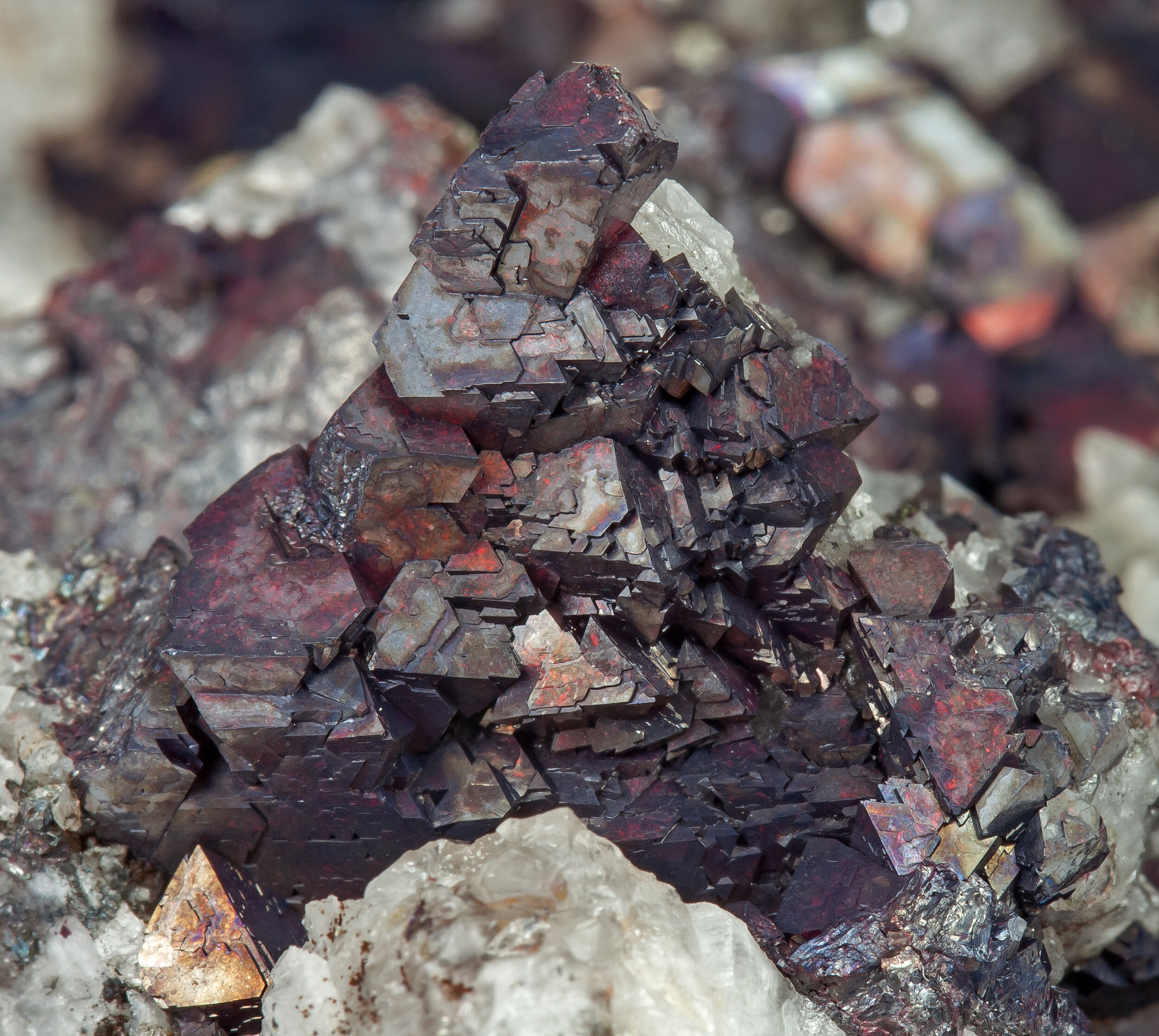 specimens/s_imagesAP3/Cuprite-MPQ70AP3d2.jpg
