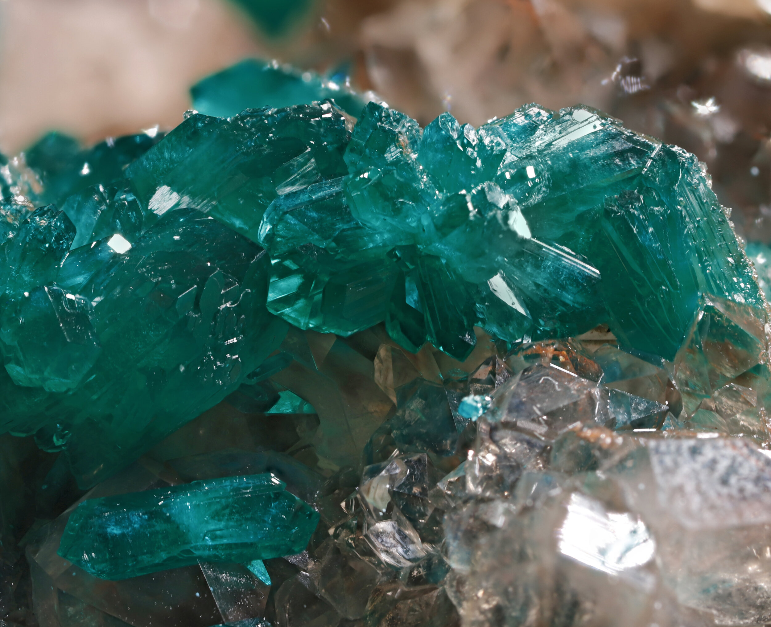 specimens/s_imagesAP3/Dioptase-MFB86AP3_6818_d3.jpg