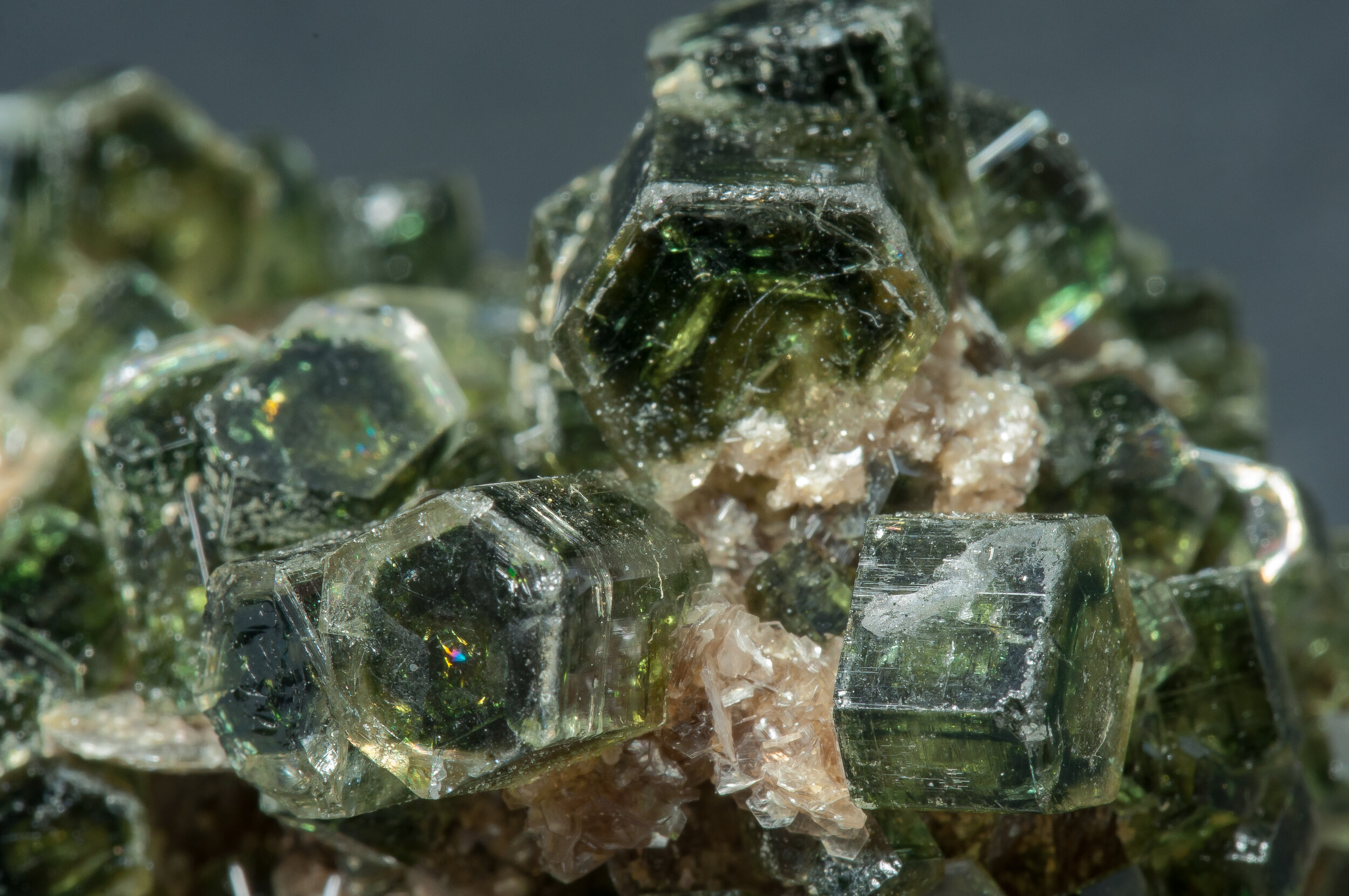 specimens/s_imagesAP3/Fluorapatite-JFD189AP3d.jpg