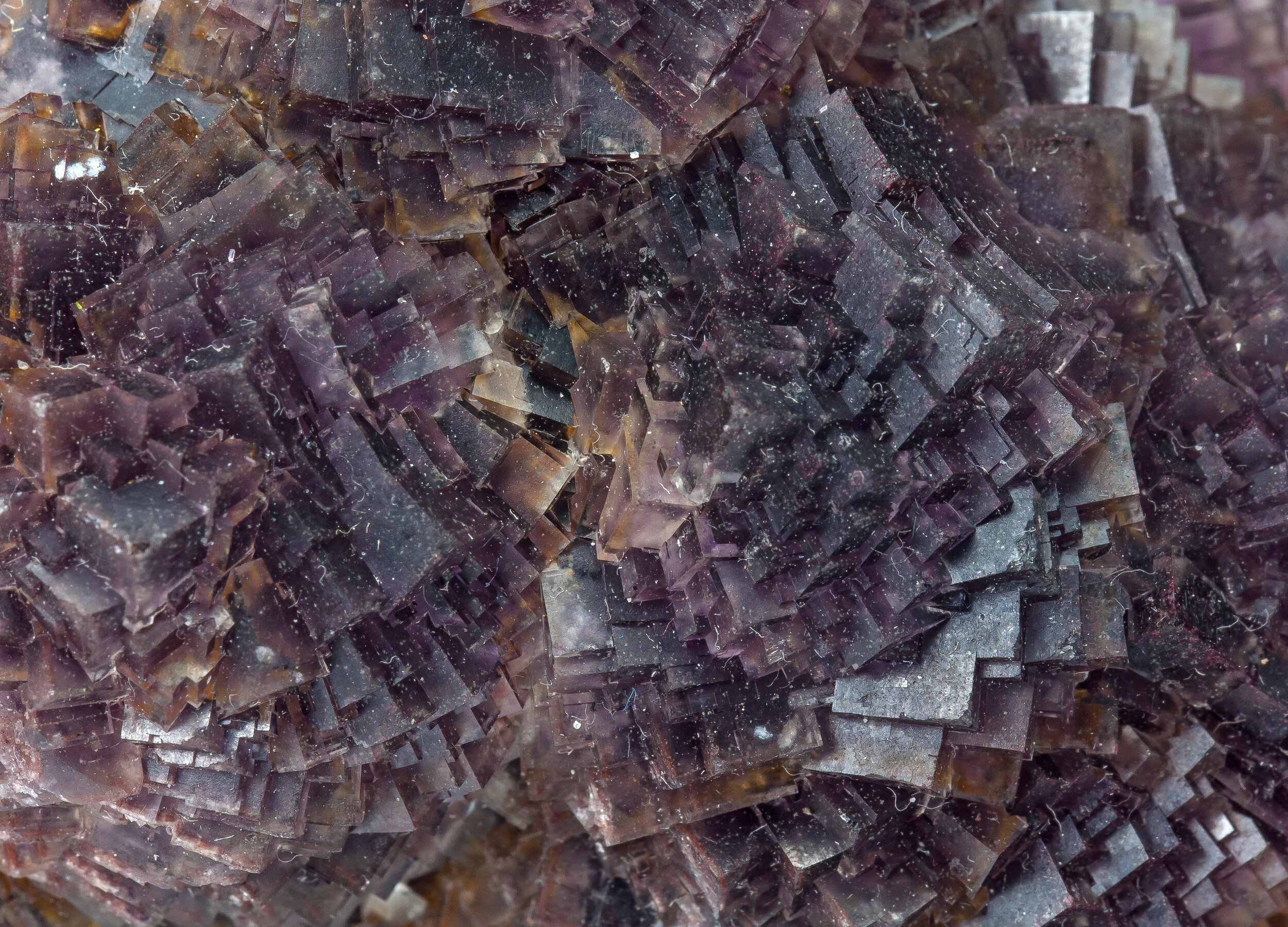 specimens/s_imagesAP3/Fluorite-BFM68AP3d.jpg