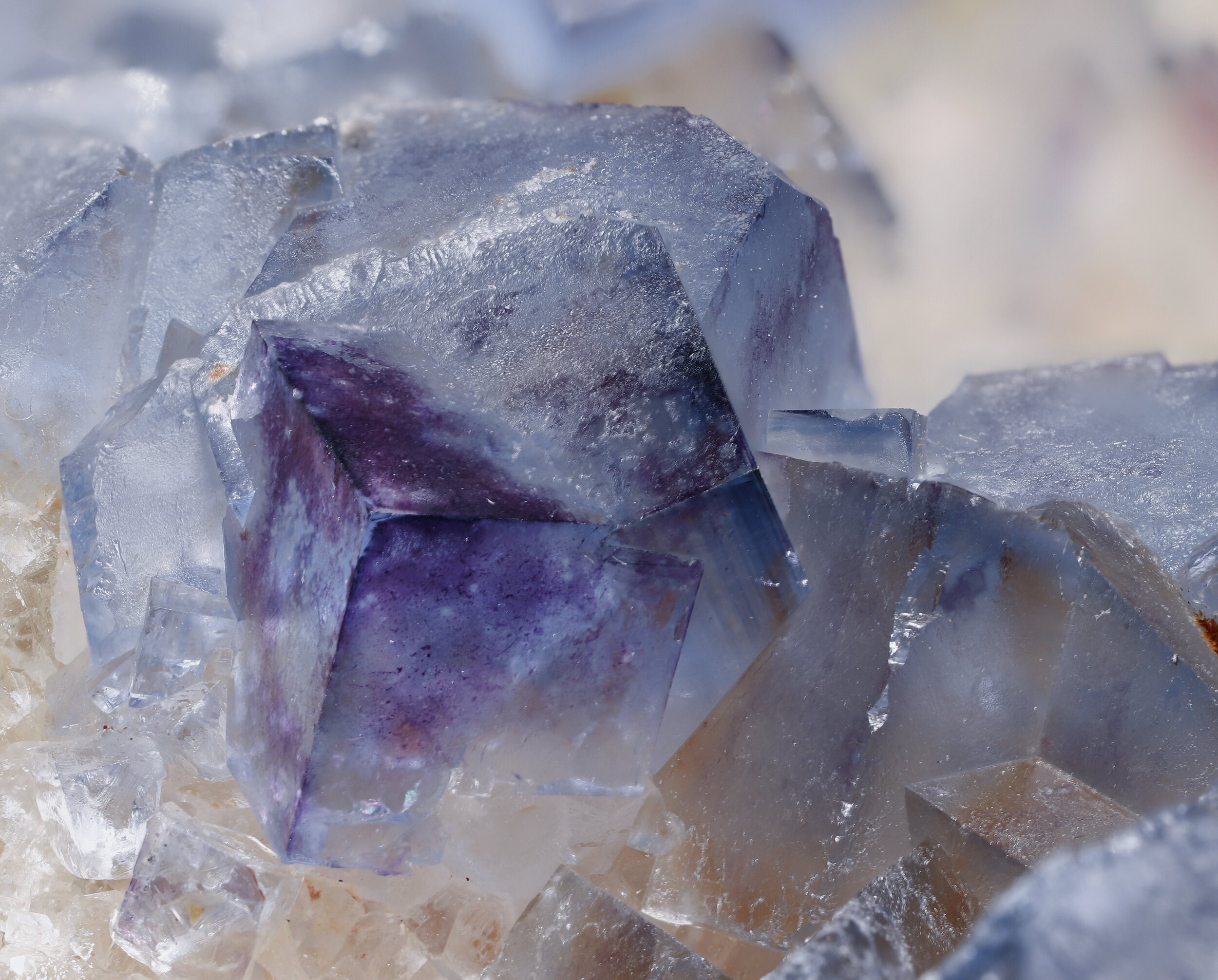 specimens/s_imagesAP3/Fluorite-BRR98AP3_6534_d.jpg