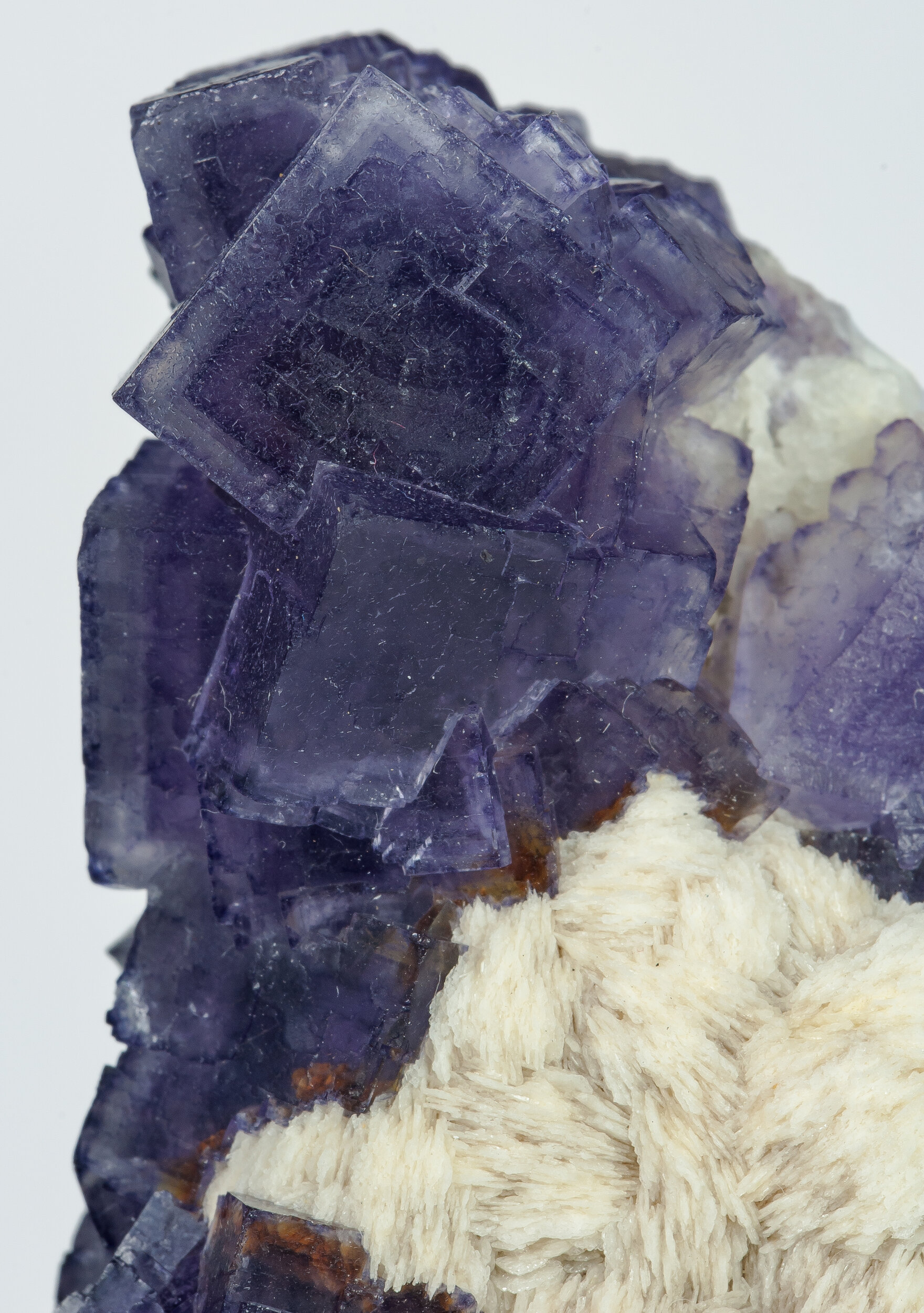 specimens/s_imagesAP3/Fluorite-EFL69AP3d2.jpg