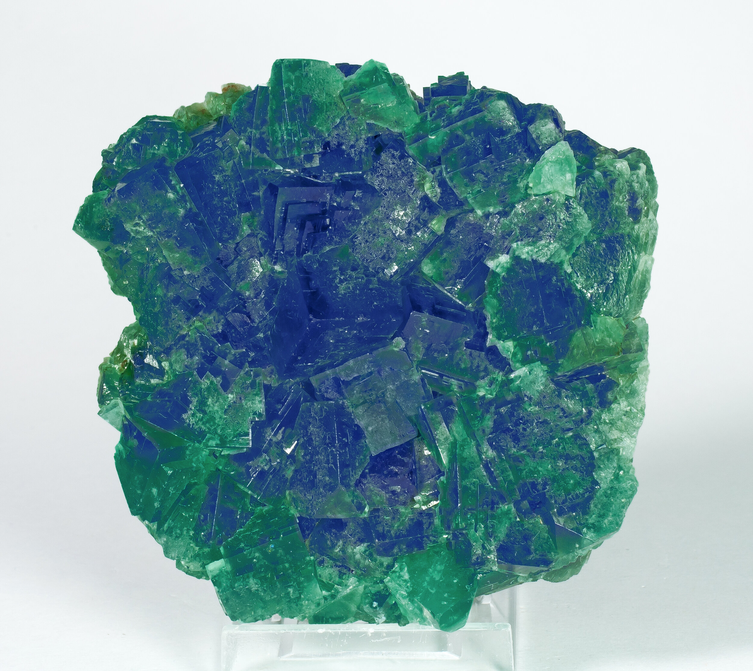 specimens/s_imagesAP3/Fluorite-EFT97AP3f2.jpg