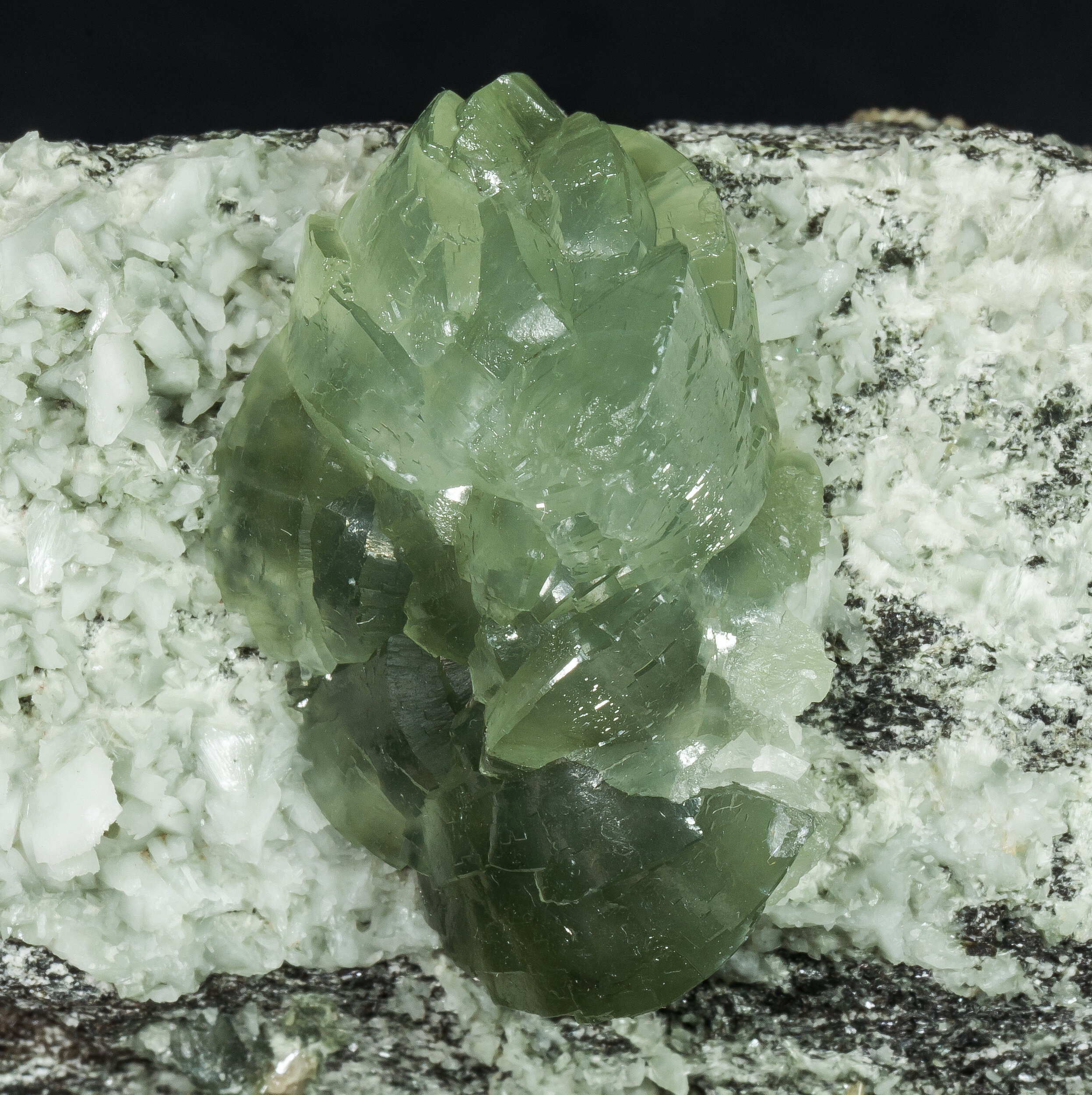 specimens/s_imagesAP3/Prehnite-MRB87AP3d1.jpg