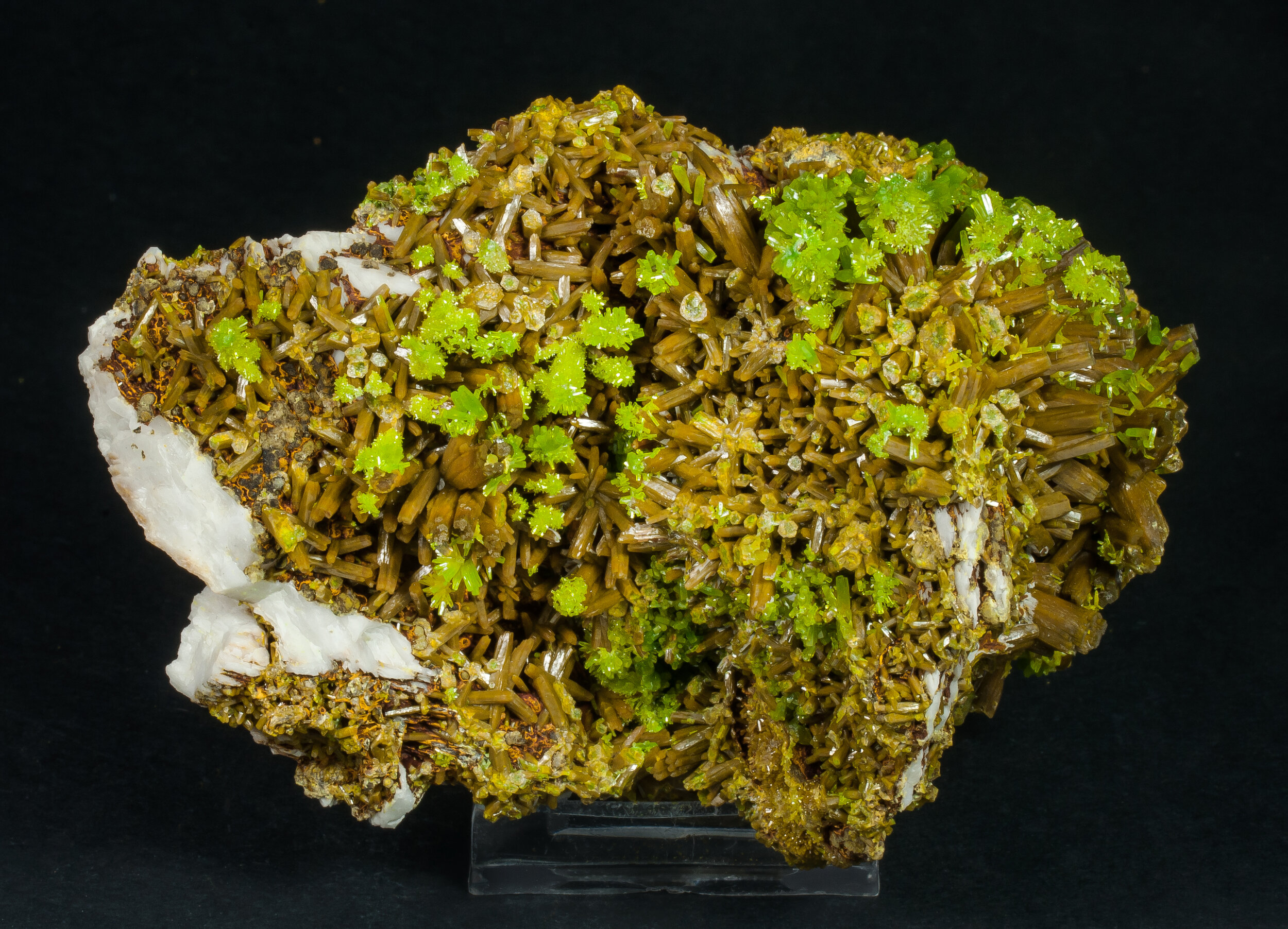 specimens/s_imagesAP3/Pyromorphite-LCX16AP3f.jpg