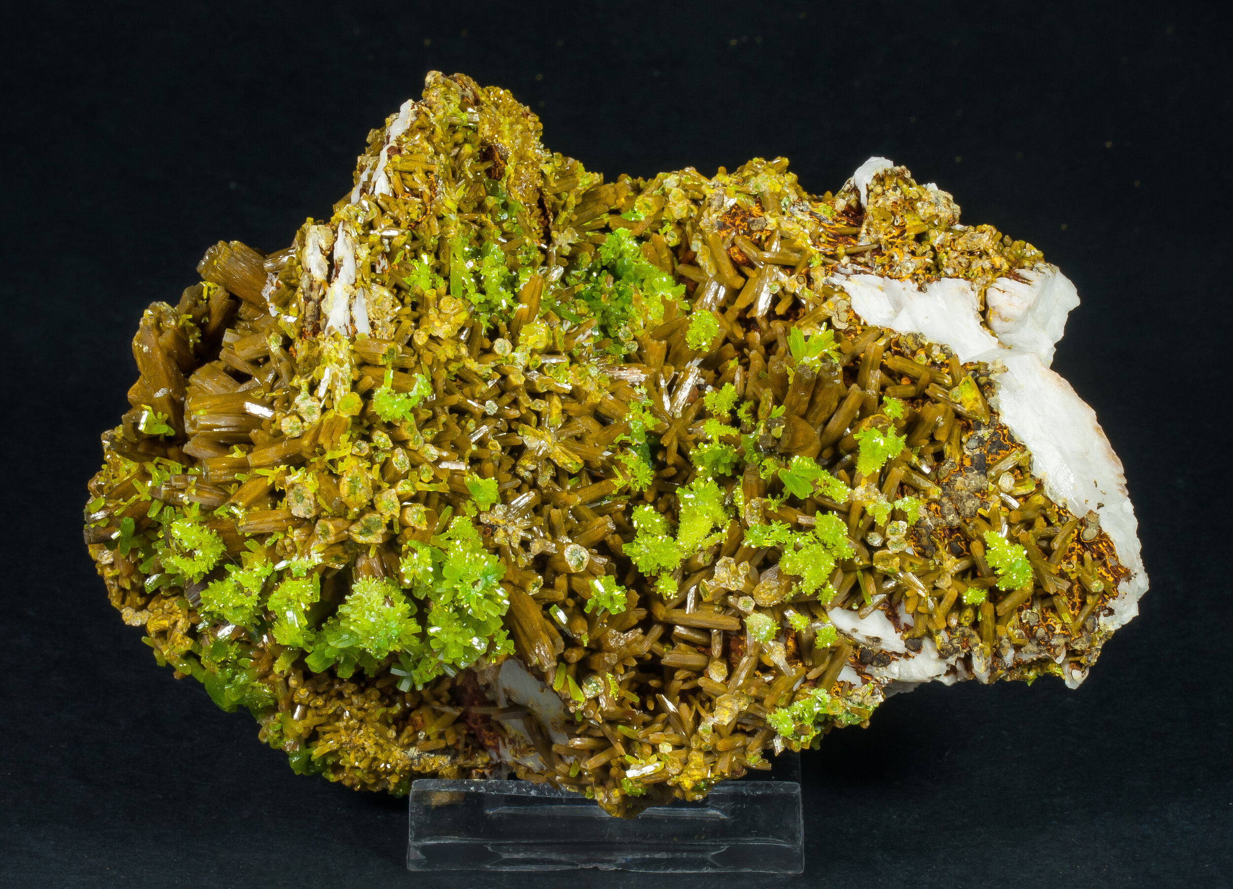 specimens/s_imagesAP3/Pyromorphite-LCX16AP3s.jpg