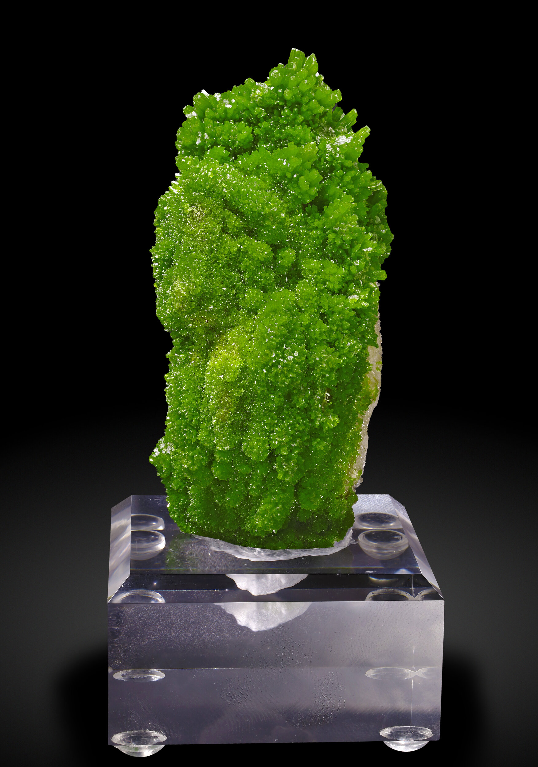 specimens/s_imagesAP3/Pyromorphite-TFM46AP3_6658_f1.jpg