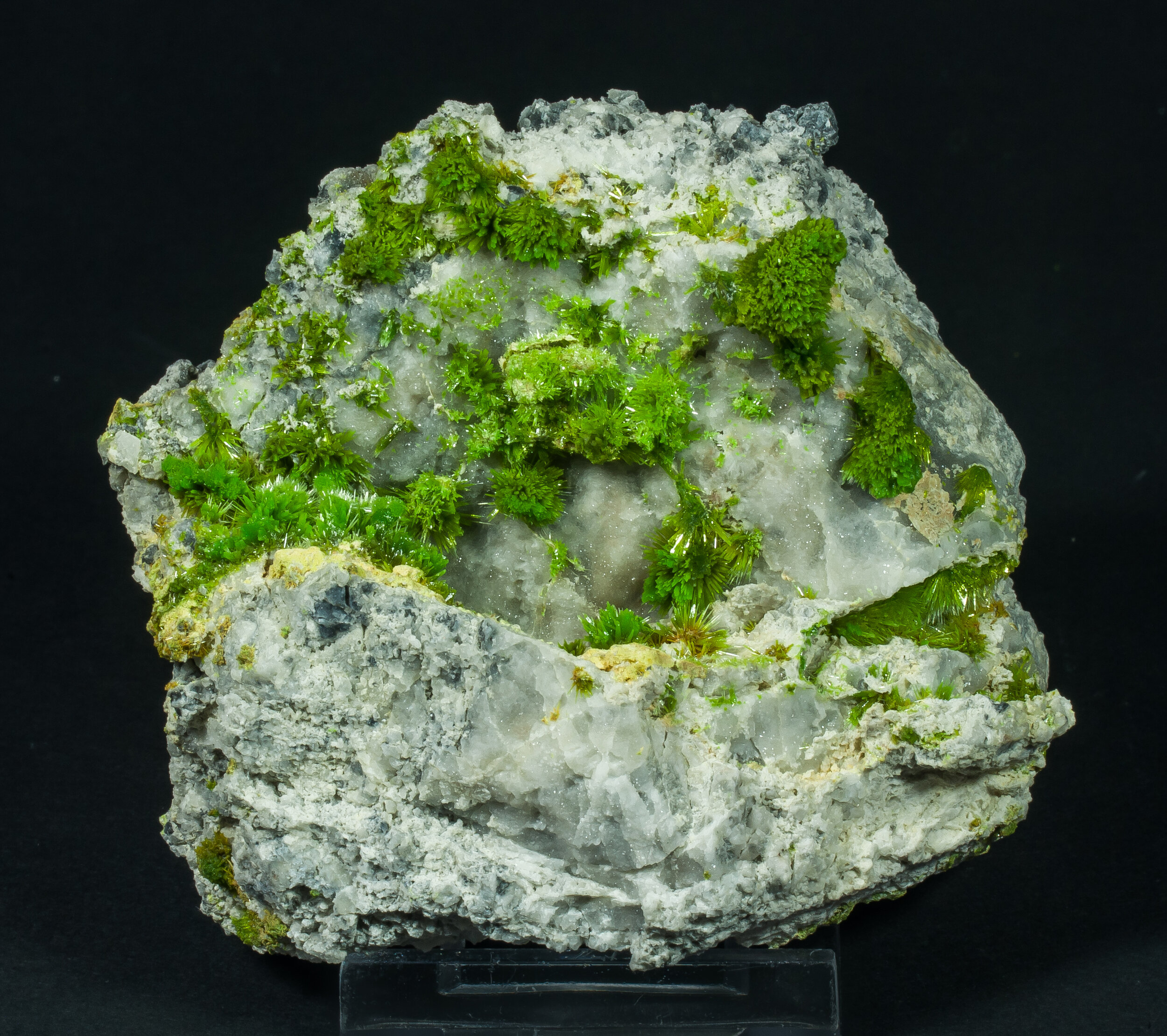 specimens/s_imagesAP3/Pyromorphite-TMR28AP3f.jpg