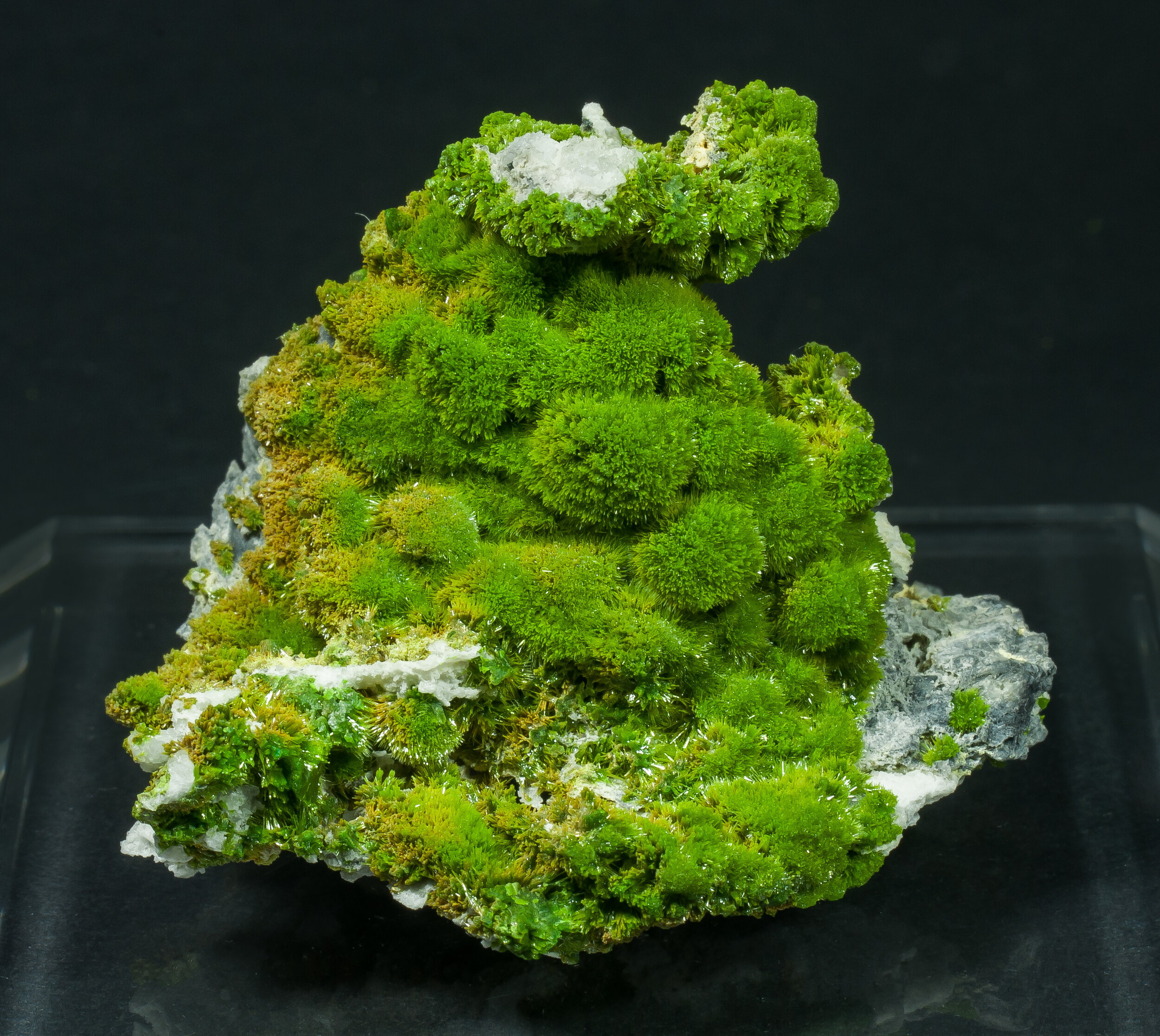 specimens/s_imagesAP3/Pyromorphite-TXR49AP3f.jpg