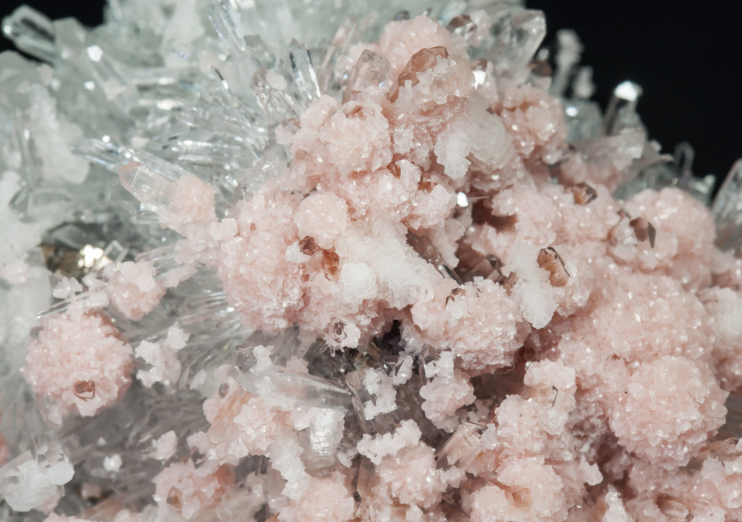 specimens/s_imagesAP3/Rhodochrosite-TXM96AP3d1.jpg