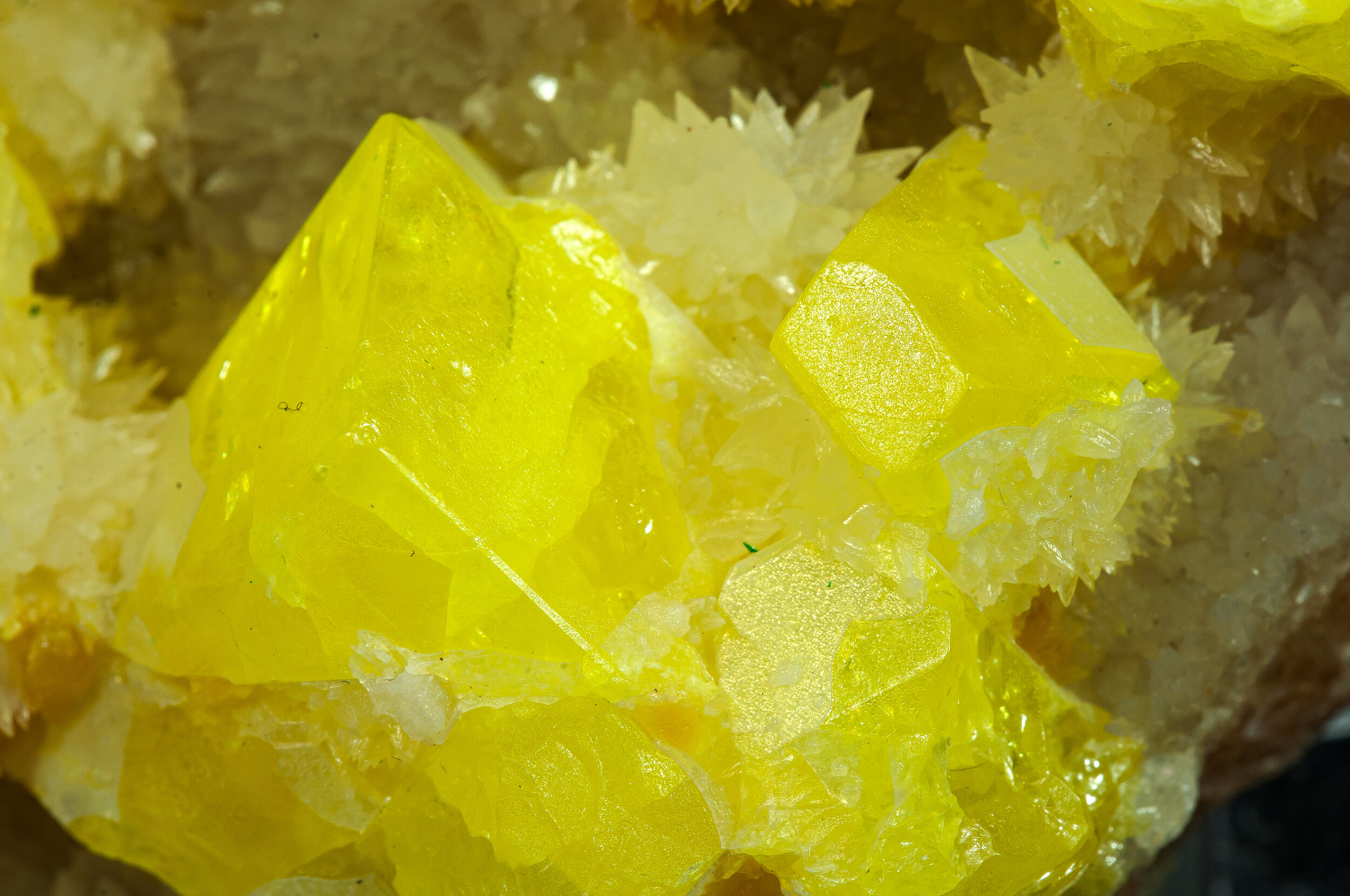 specimens/s_imagesAP3/Sulfur-EPP68AP3d.jpg