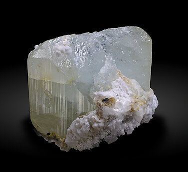 Topaz. Rear / Photo: Joaquim Calln