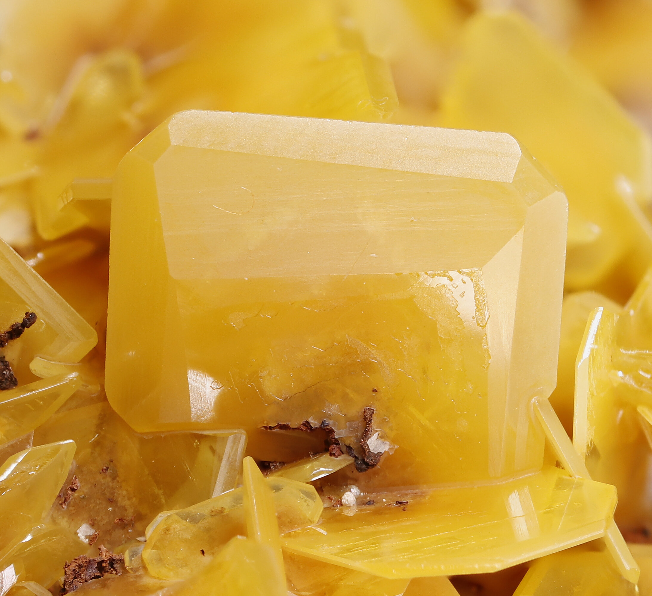specimens/s_imagesAP3/Wulfenite-JFD194AP3_7061_d.jpg