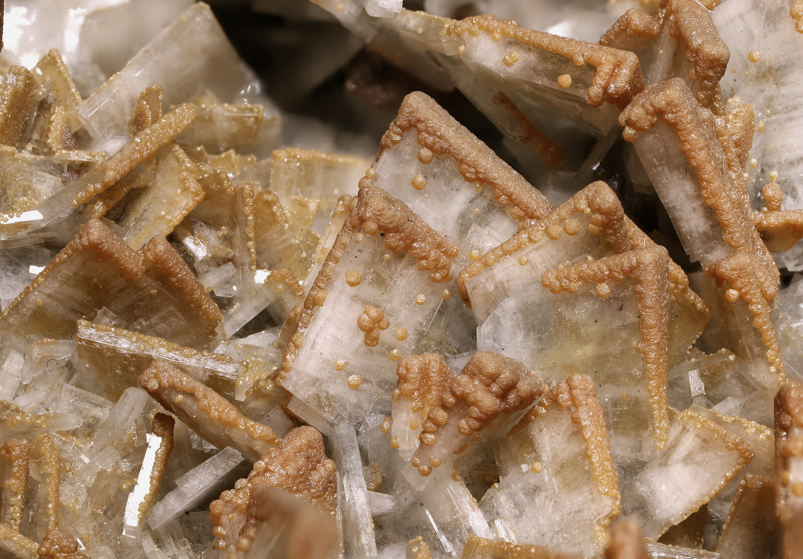 specimens/s_imagesAP4/Baryte-ERB46AP4_8183_d1.jpg