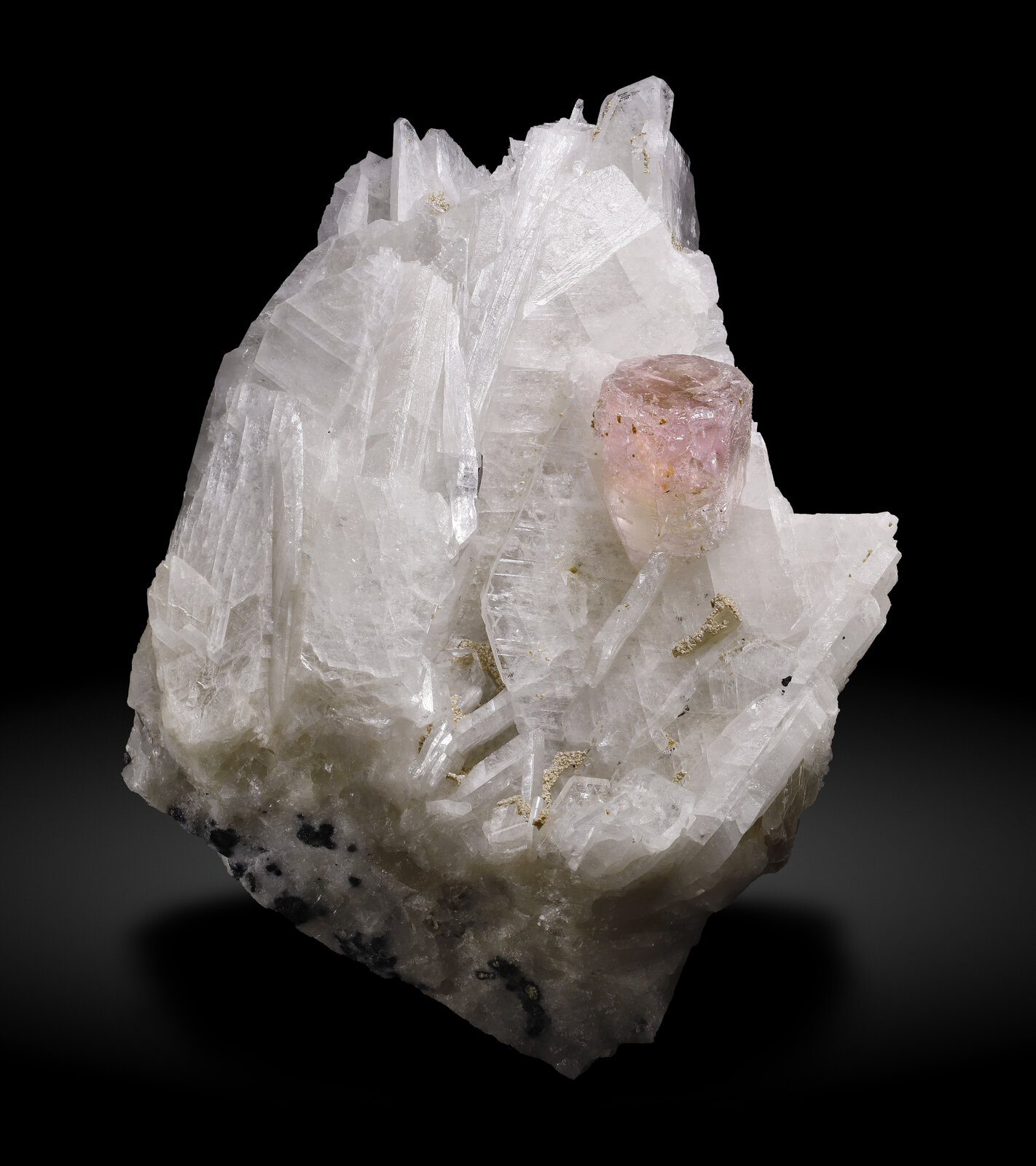 specimens/s_imagesAP4/Beryl_morganite-MJX69AP4_8526_f.jpg