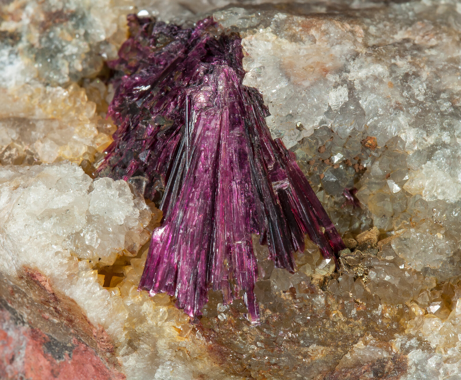 specimens/s_imagesAP4/Erythrite-TTH89AP4d.jpg