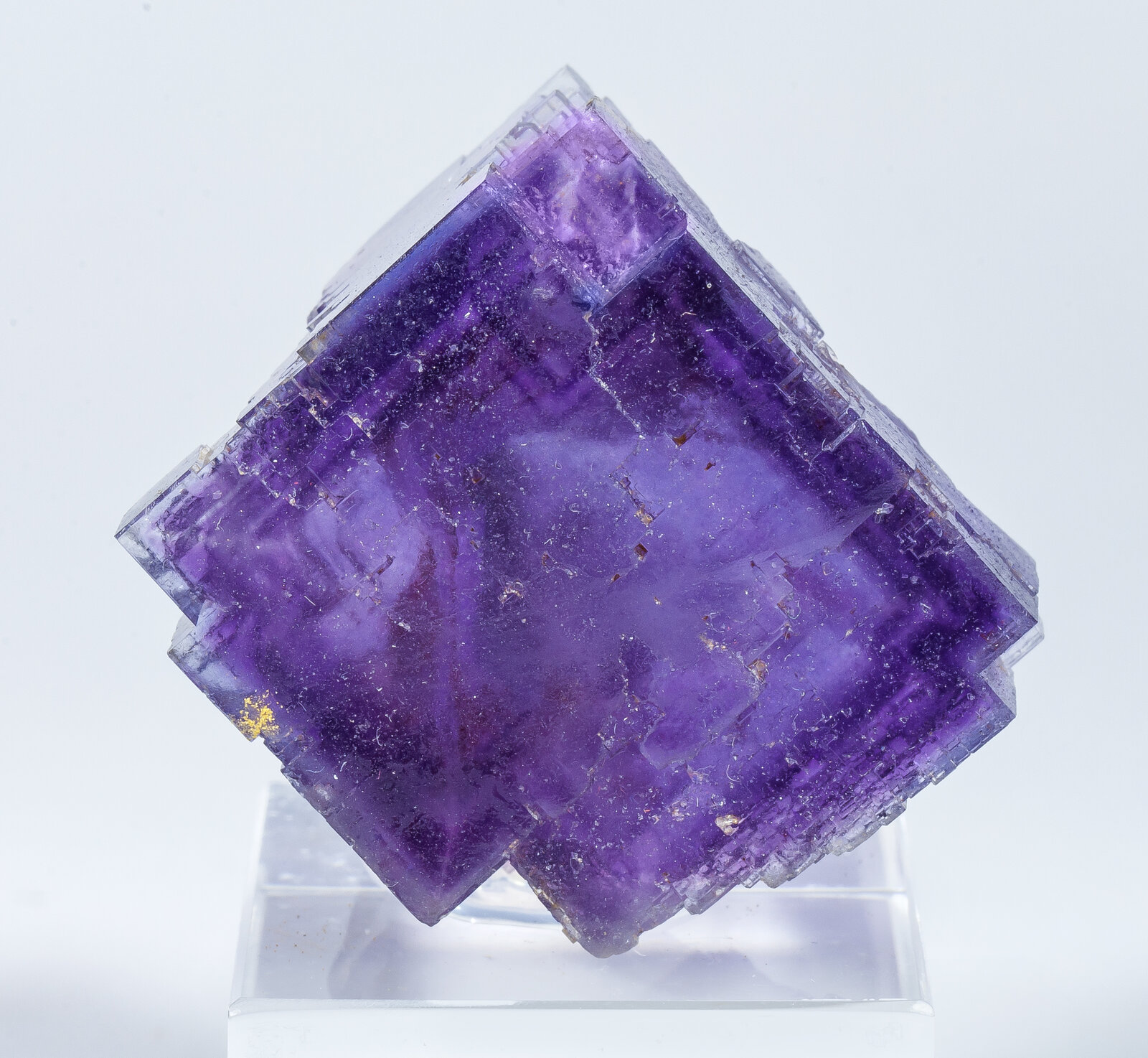 specimens/s_imagesAP4/Fluorite-TFF96AP4f.jpg