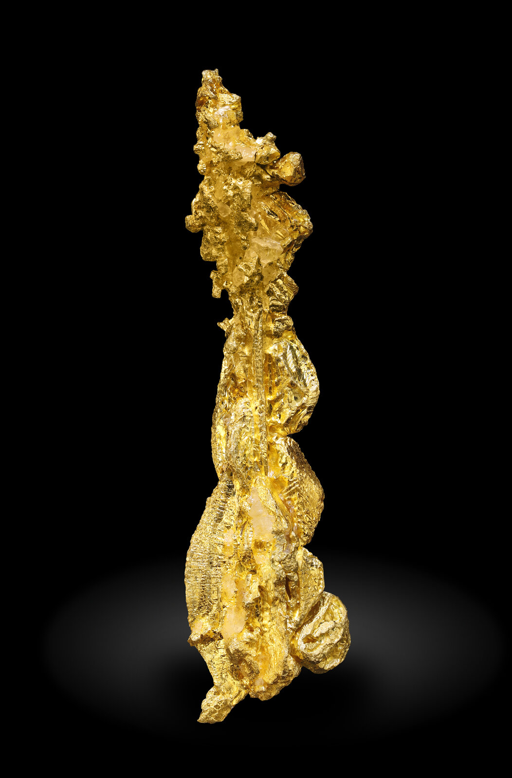 specimens/s_imagesAP4/Gold-MXX86AP4_7960_r.jpg