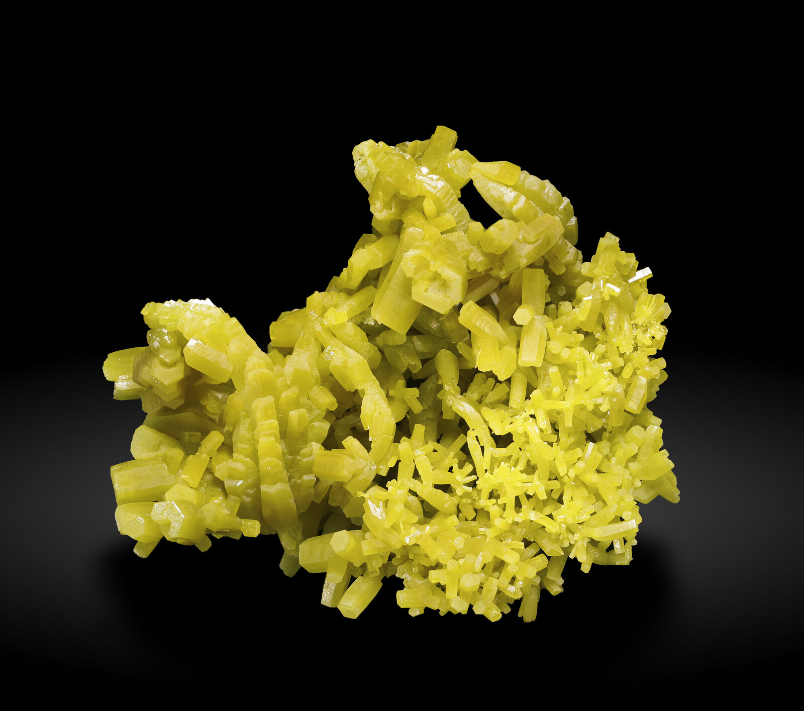 specimens/s_imagesAP4/Pyromorphite-LXX46AP4_9420_f.jpg