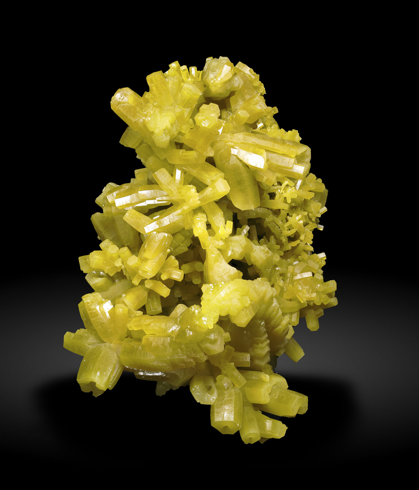 specimens/s_imagesAP4/Pyromorphite-LXX46AP4_9429_s.jpg