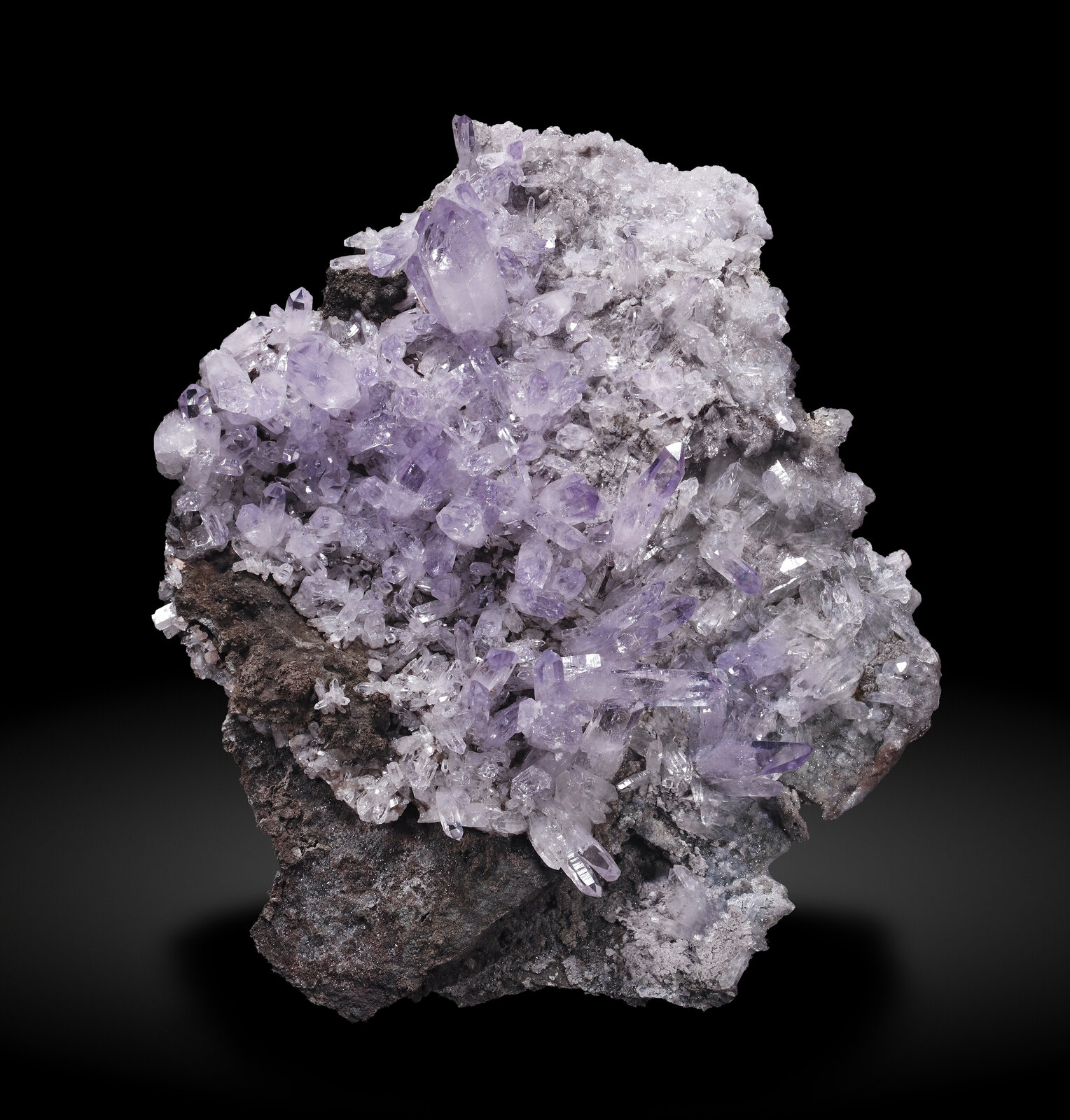 specimens/s_imagesAP4/Quartz_amethyst-BXF92AP4_9253_f.jpg