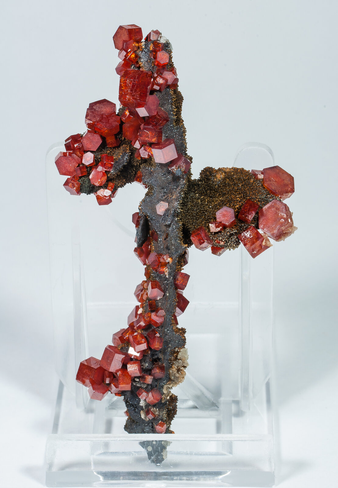 specimens/s_imagesAP4/Vanadinite-MTT48AP4f.jpg