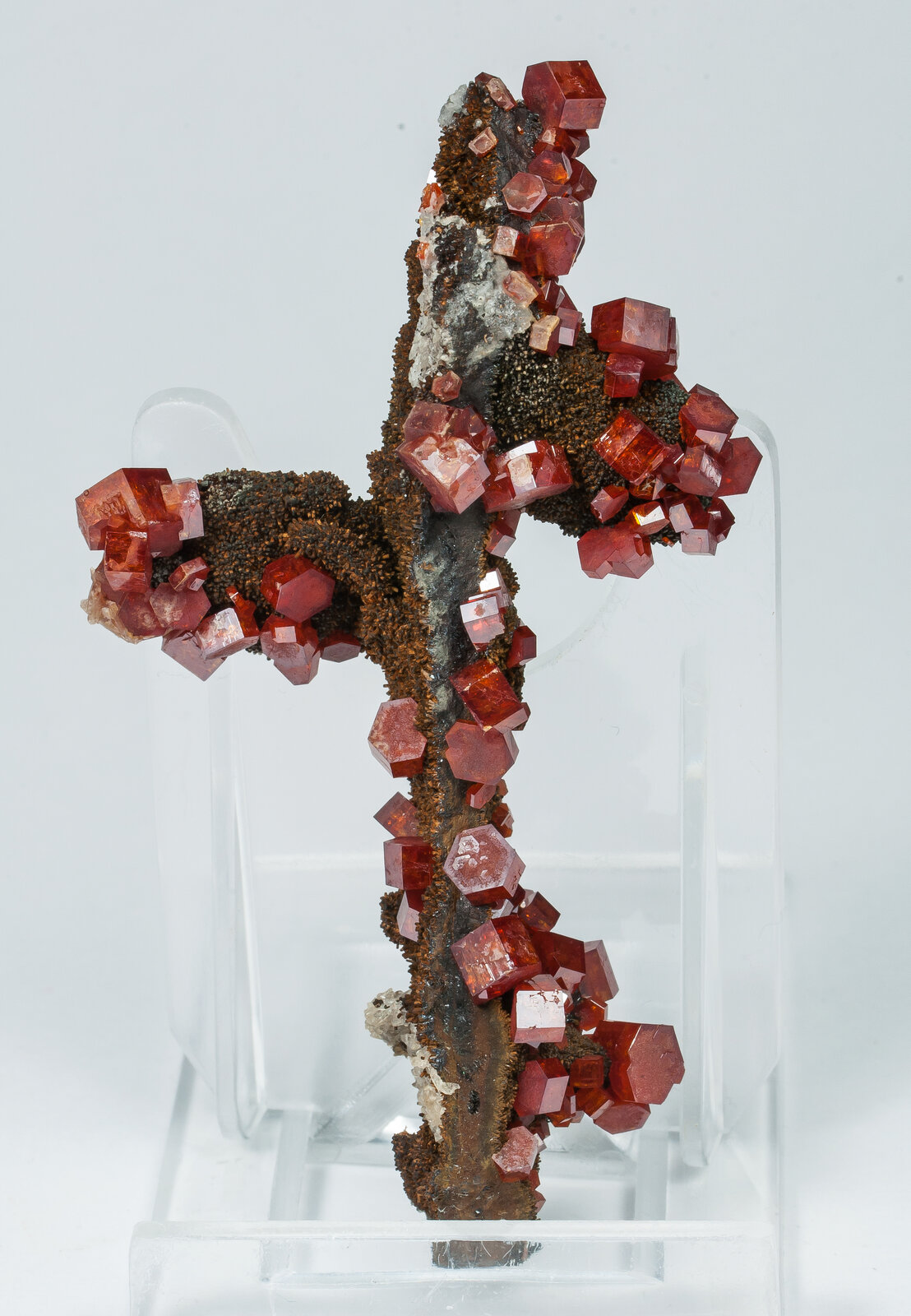 specimens/s_imagesAP4/Vanadinite-MTT48AP4r.jpg