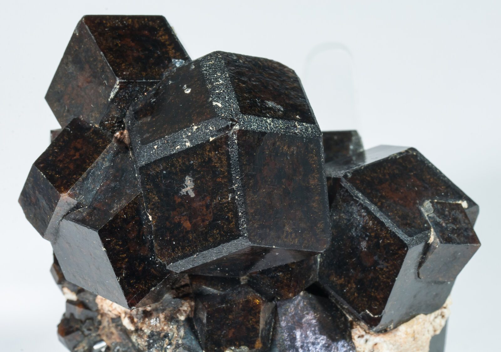 specimens/s_imagesAP5/Andradite-TFB47AP5d.jpg