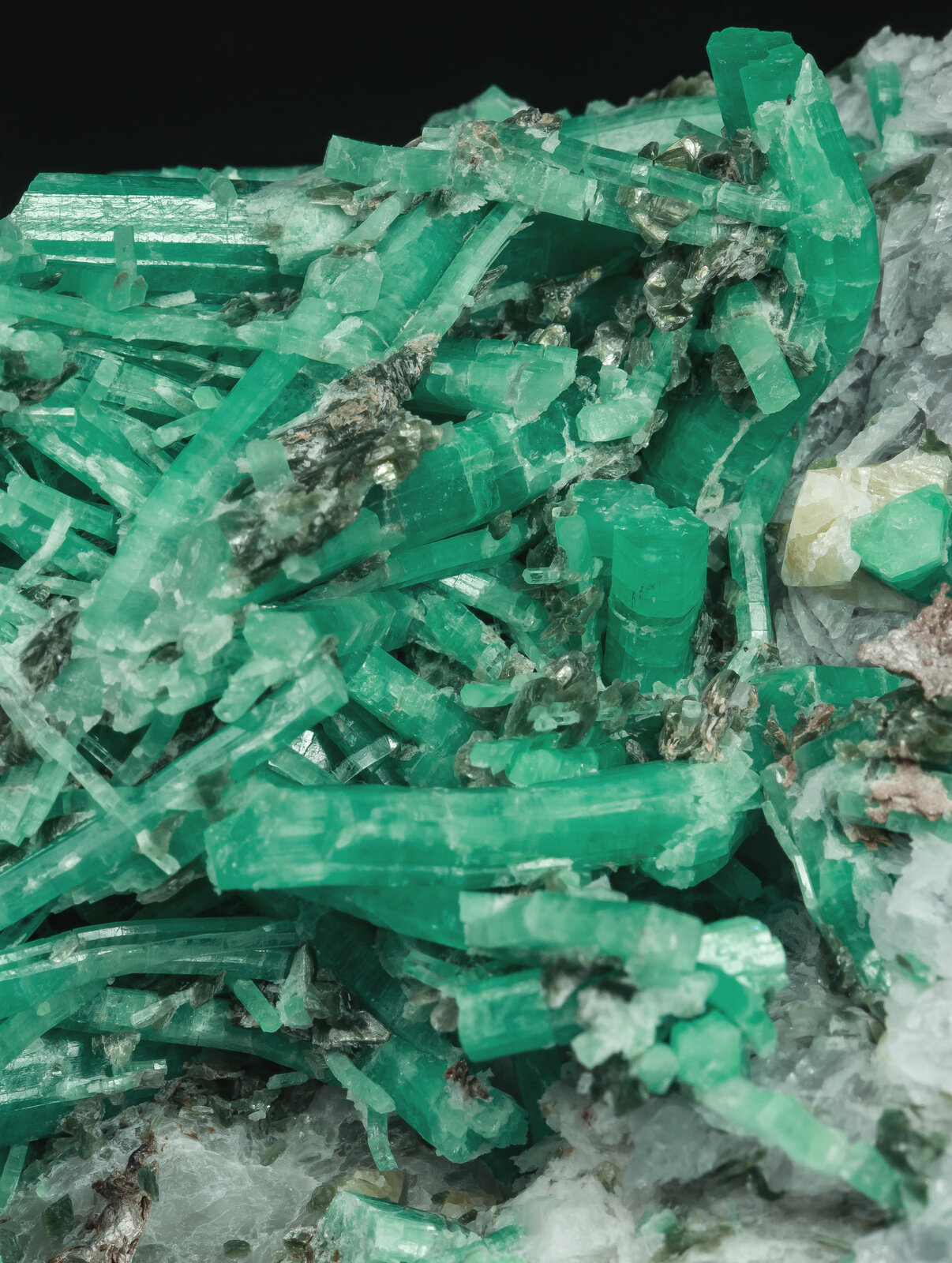 specimens/s_imagesAP5/Beryl_emerald-MJK53AP5d2.jpg