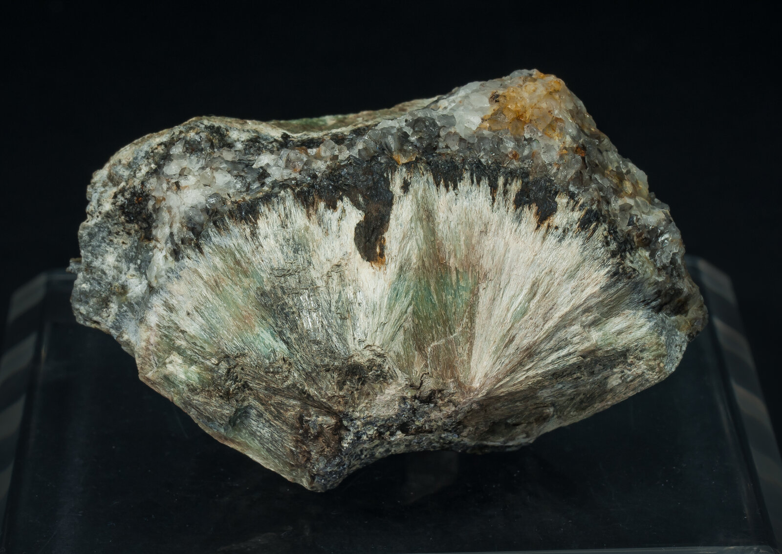 specimens/s_imagesAP5/Bustamite-TPB47AP5f.jpg