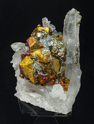 Chalcopyrite on Quartz with Arsenopyrite and Calcite. Front