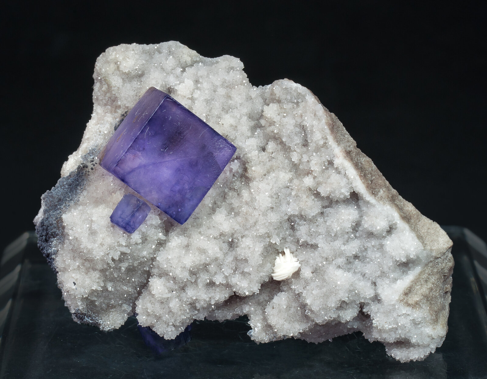 specimens/s_imagesAP5/Fluorite-JFD209AP5f.jpg