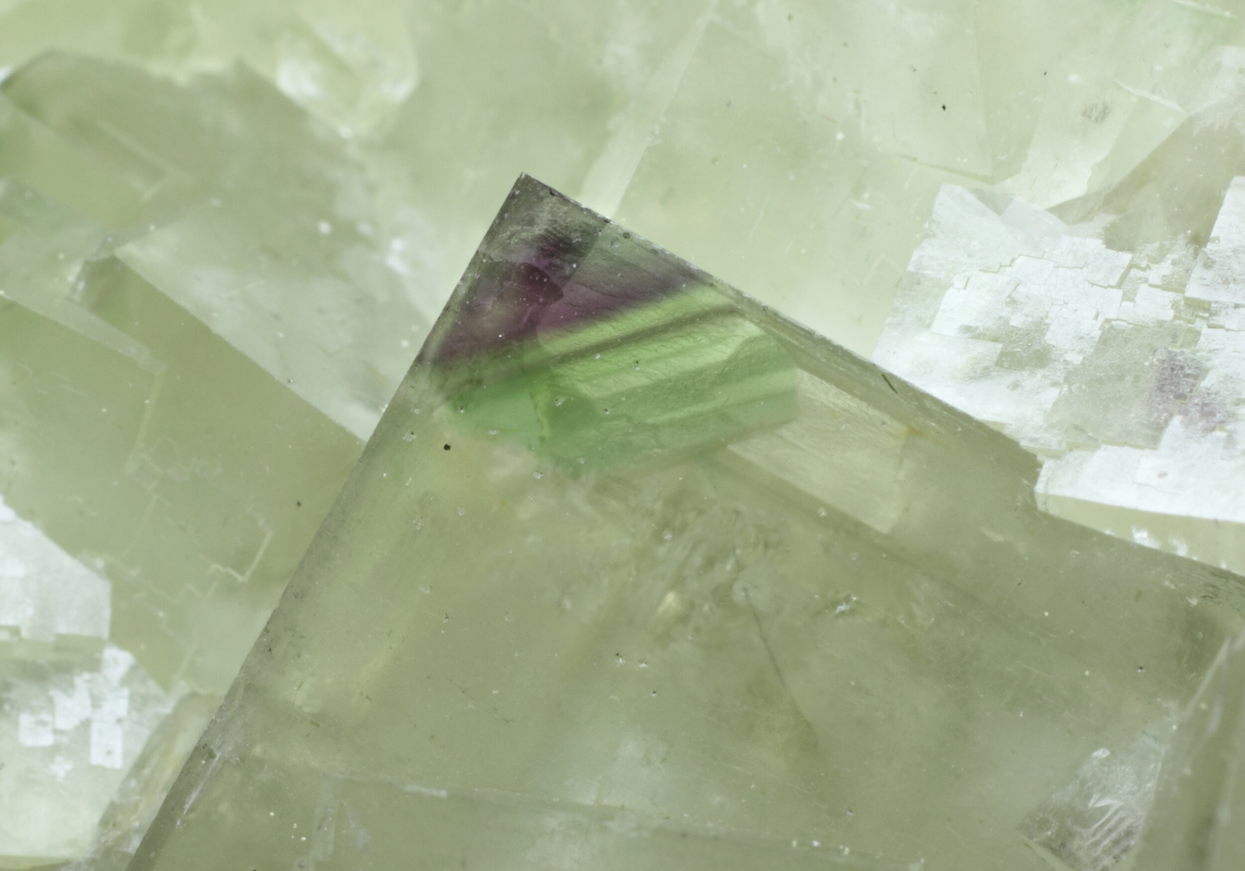 specimens/s_imagesAP5/Fluorite-PTX26AP5_9716_d1.jpg