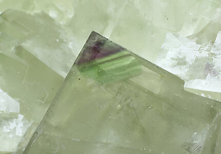 Fluorite with Calcite. Photo: Joaquim Callén