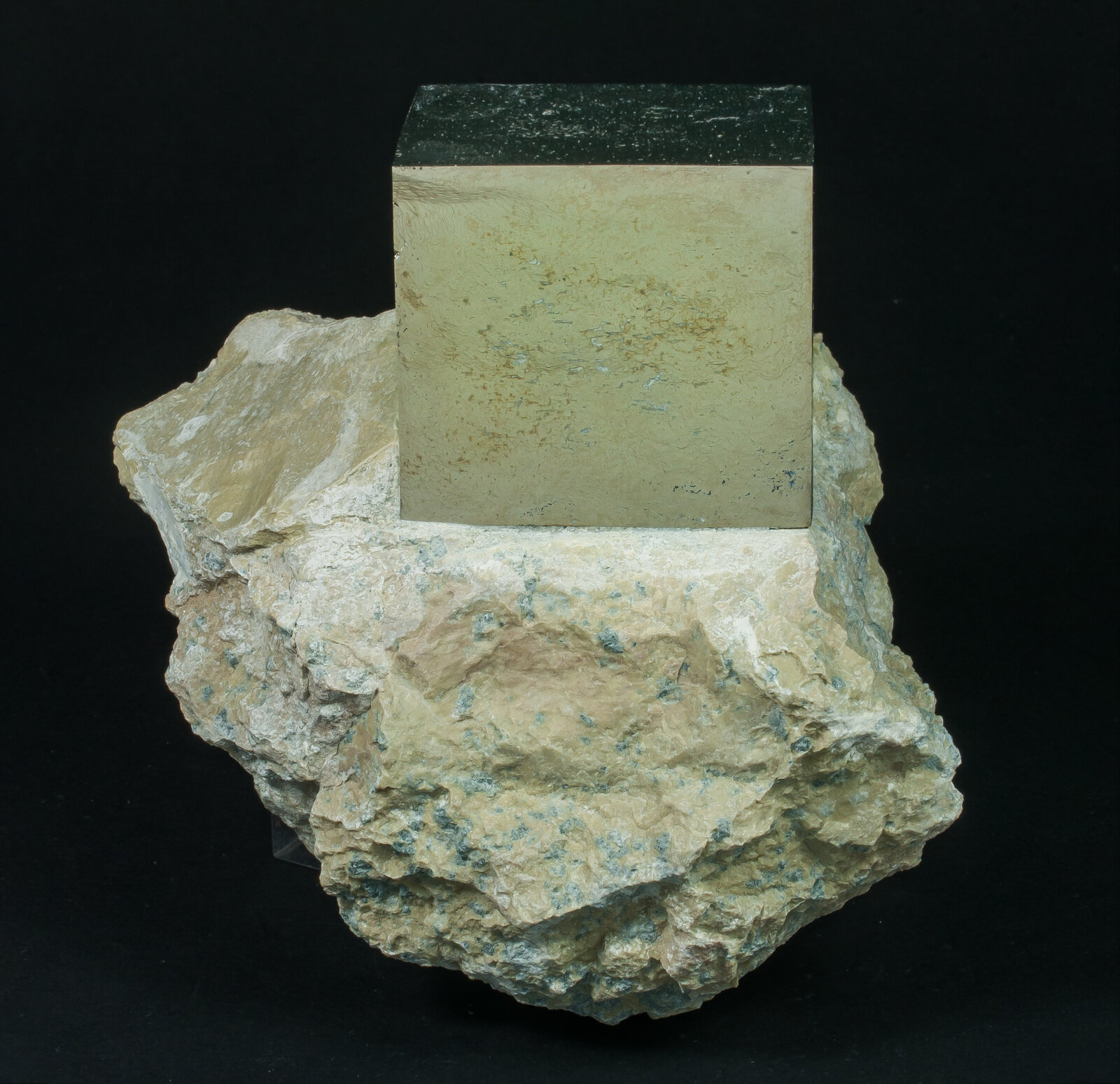 specimens/s_imagesAP5/Pyrite-MRB71AP5r.jpg