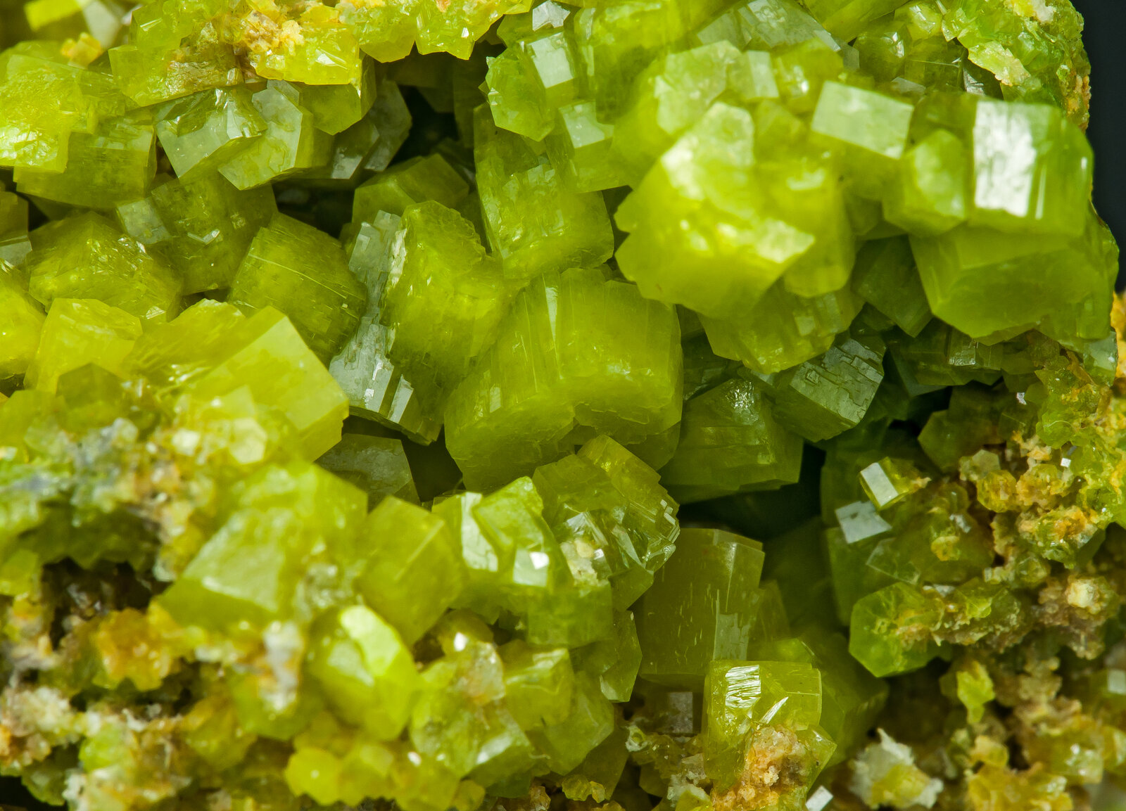 specimens/s_imagesAP5/Pyromorphite-MFG47AP5d.jpg